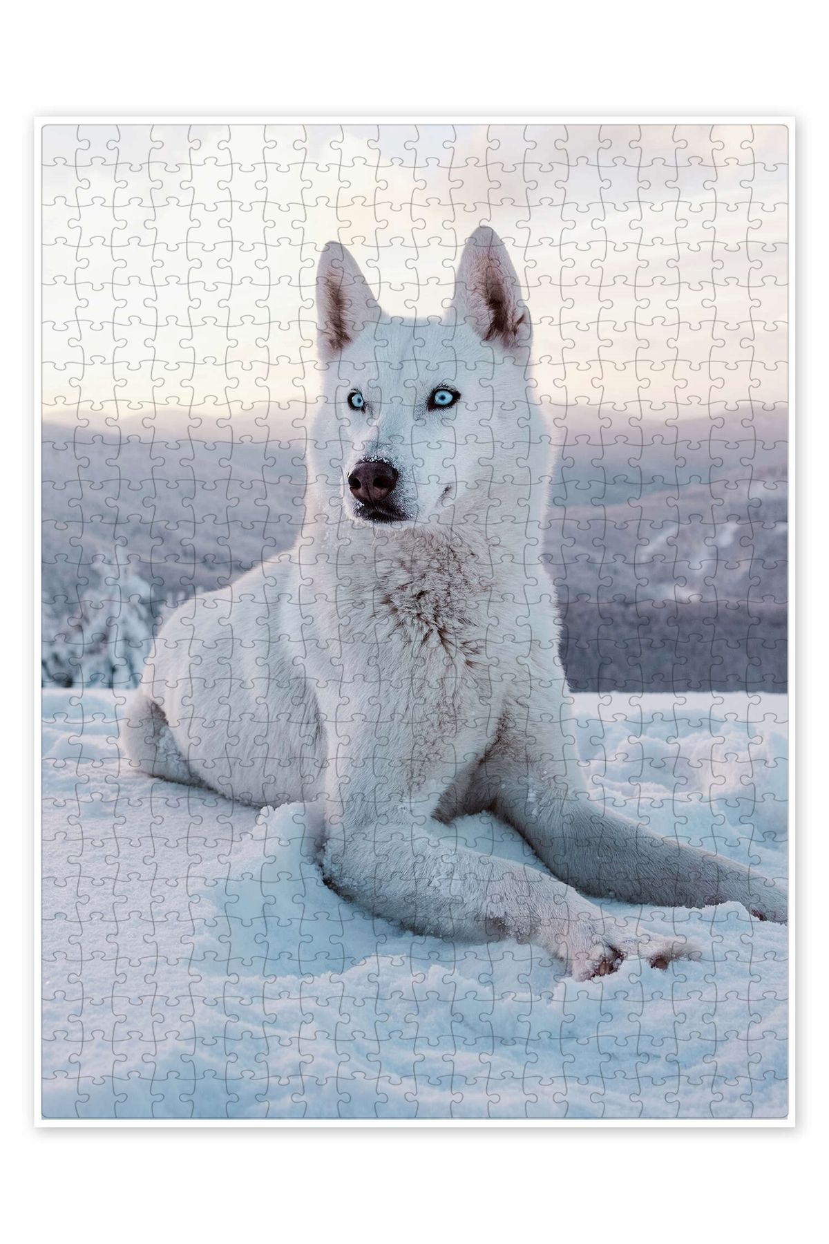 Jeronkarji Beyaz kızak köpeği 500 Parça Puzzle Yapboz Kedi Köpek Temalı Doğa ve Orman Hayvanları