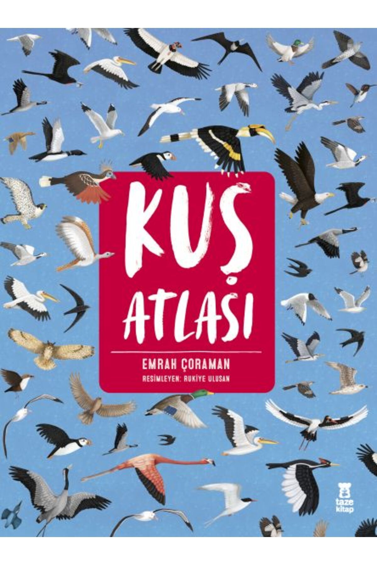 Karatay Yayınları Kuş Atlası