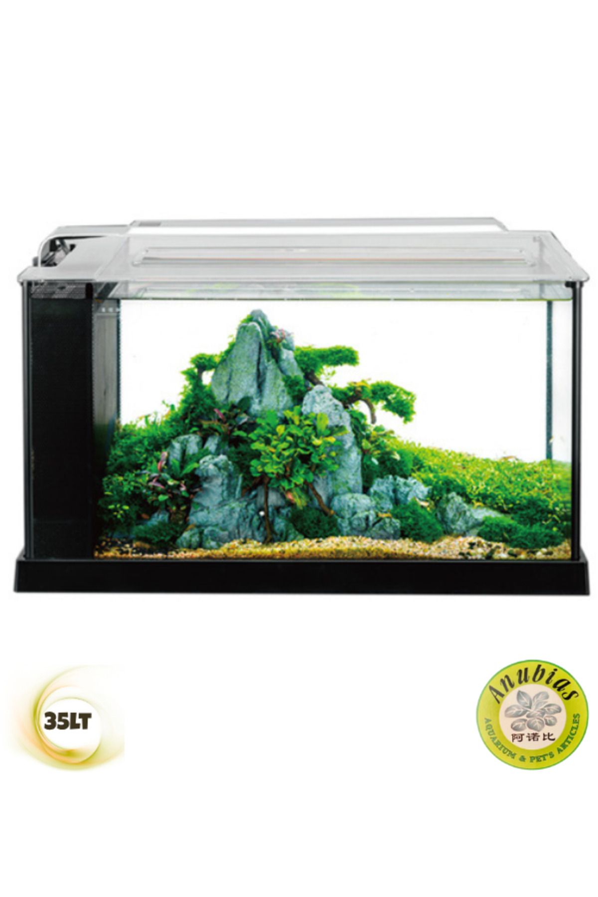ANUBIAS AQUARIUM LIVE PLANTS Anubias Platy 52 Nano Akvaryum Siyah 52 x 22,7 x 30 Cm
