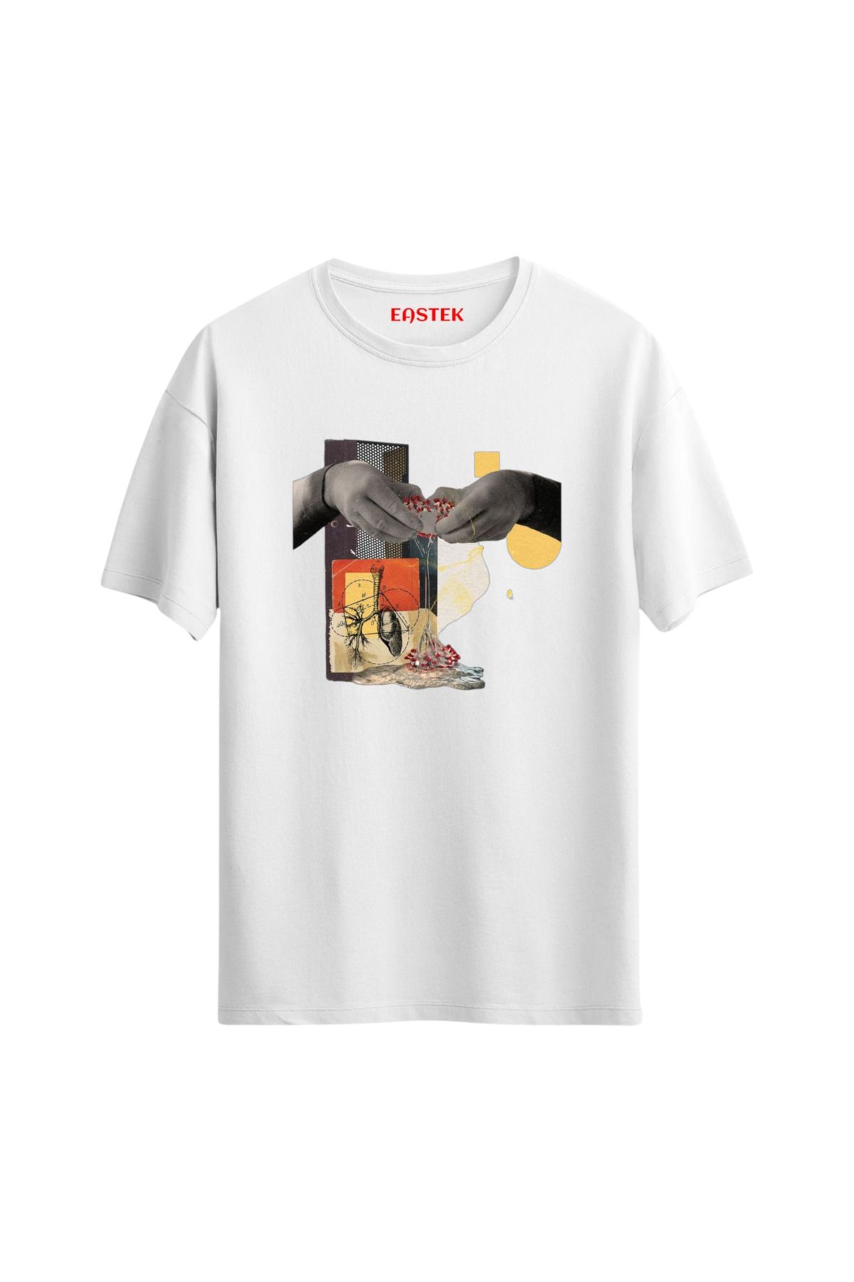 Eastek Anatomy of Creation Unisex Baskılı Tasarım Tshirt