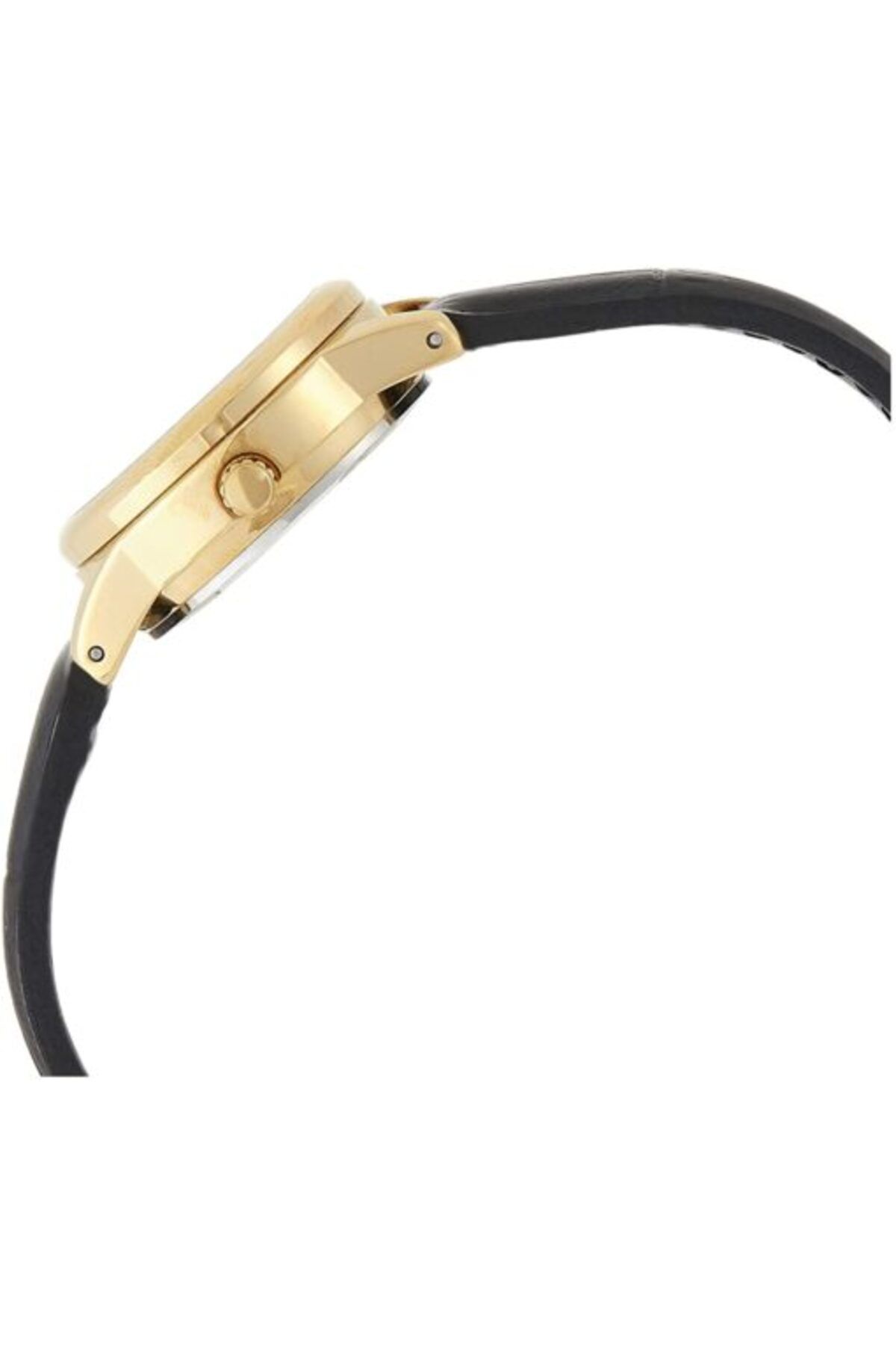 Casio-Ceas Dama, Casio, Collection LTP-V0 LTP-V002GL-7B2 4