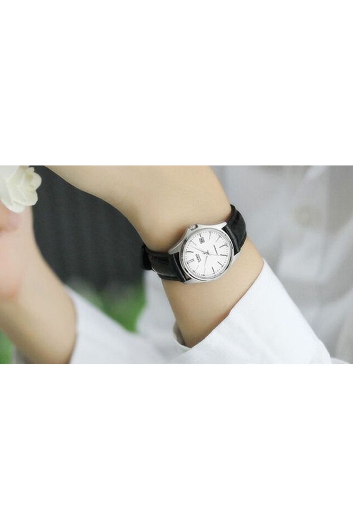 Casio-Ceas Dama, Casio, Collection LTP-11 LTP-1183E-7A 3