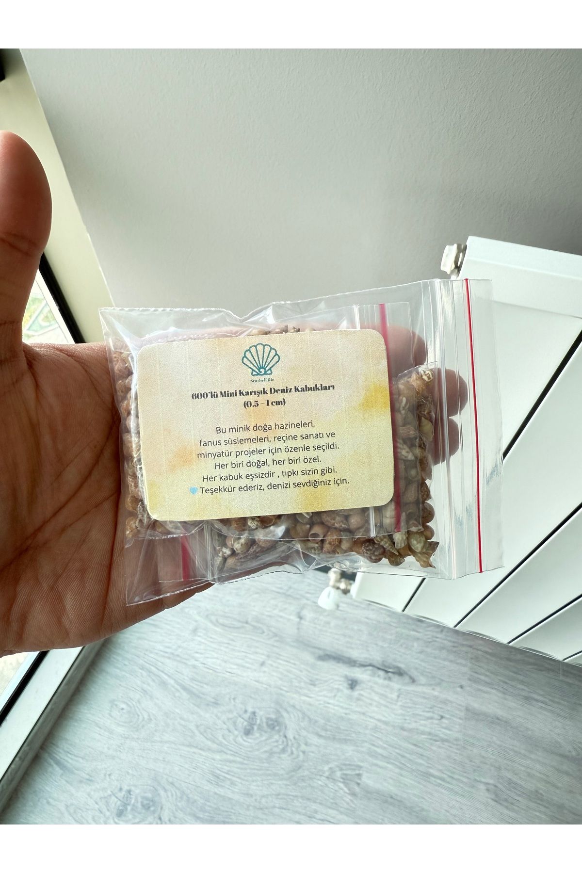 Seashell Rio 600 Adet Doğal Minik Deniz Kabuğu (0.5-1 cm) | Hobi - El Sanatları - Dekor