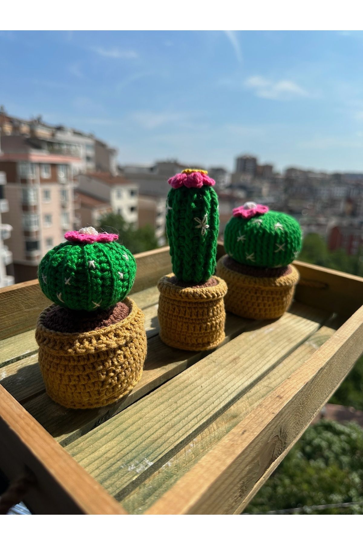ladinjoy amigurumi el örgüsü hediyelik kaktüs 3lü dekoratif kaktüs ev dekor retro aksesuar