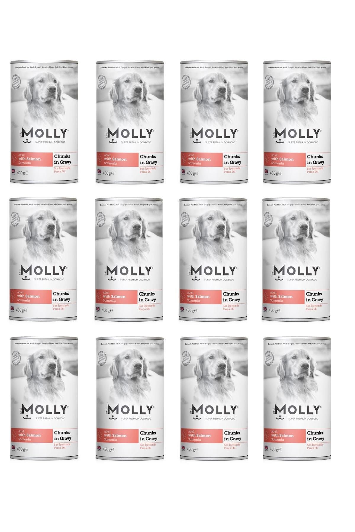 Molly Somonlu Soslu Köpek Konservesi 400 Gr X 12 Adet