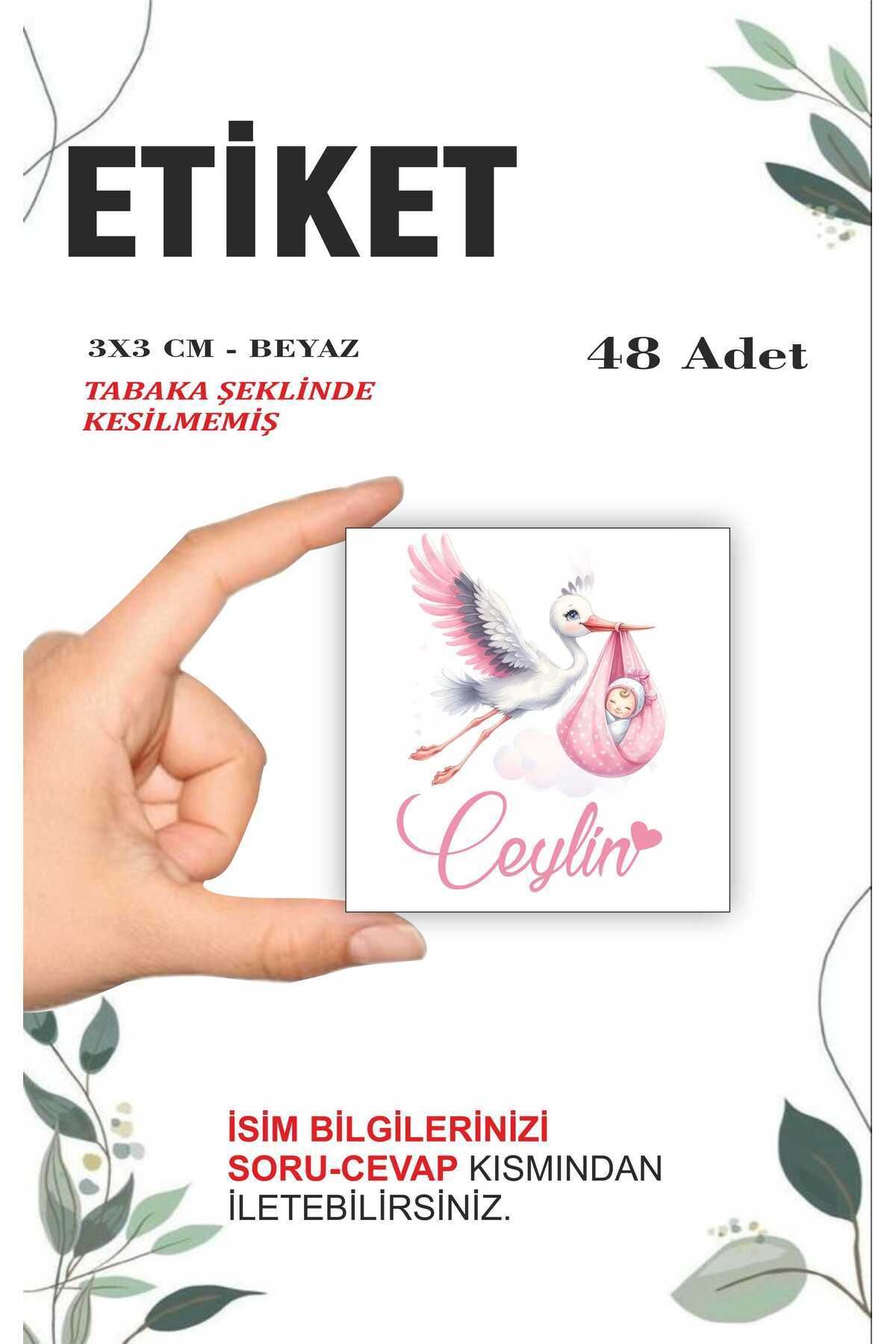 HEDİYE35 Tasarım İsme Özel Doğum Günü Babyshower Hoşgeldin Bebek Etiketi 3cm 48 Adet Etiket