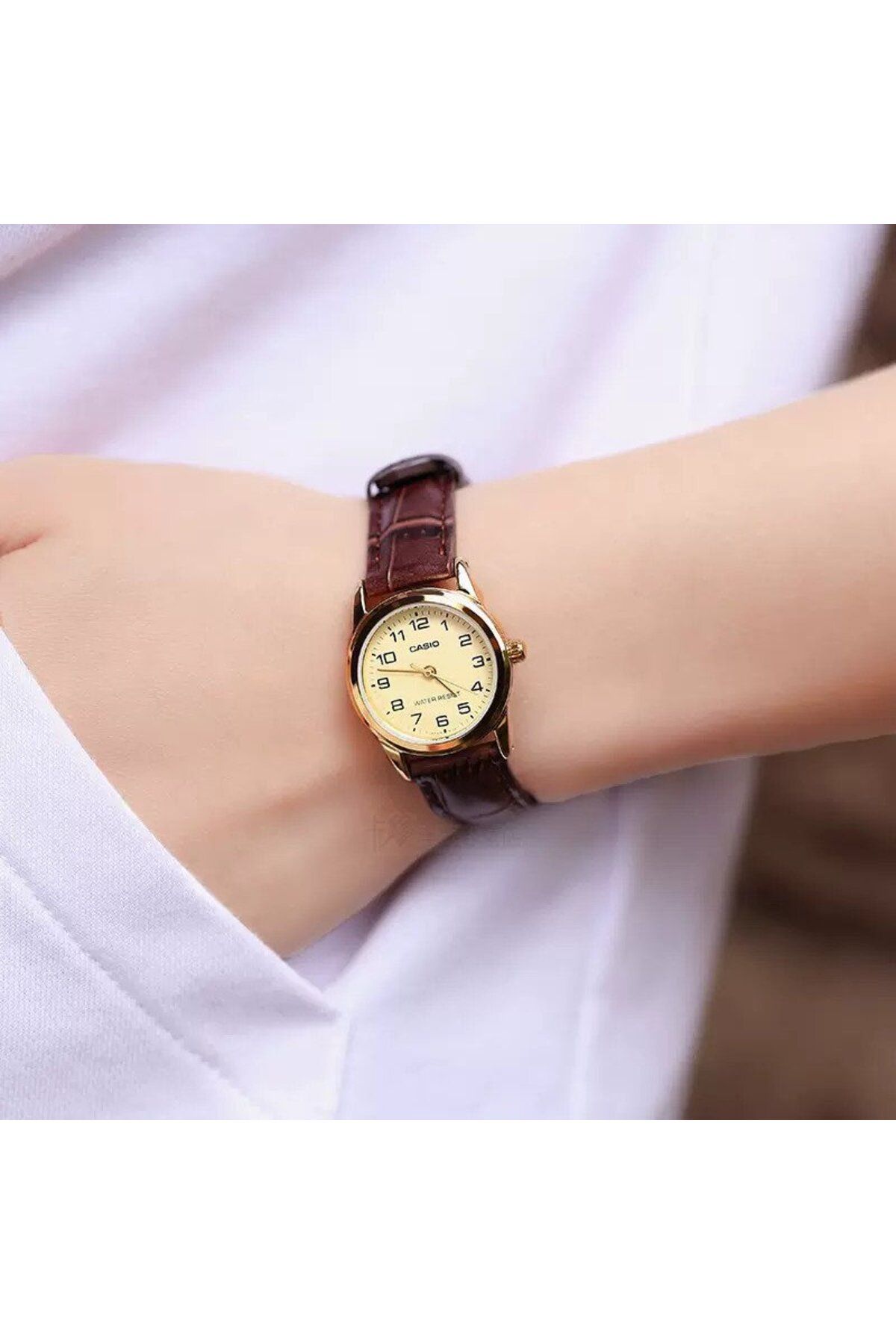 Casio-Ceas Dama, Casio, Collection LTP-V0 LTP-V001GL-9B 4