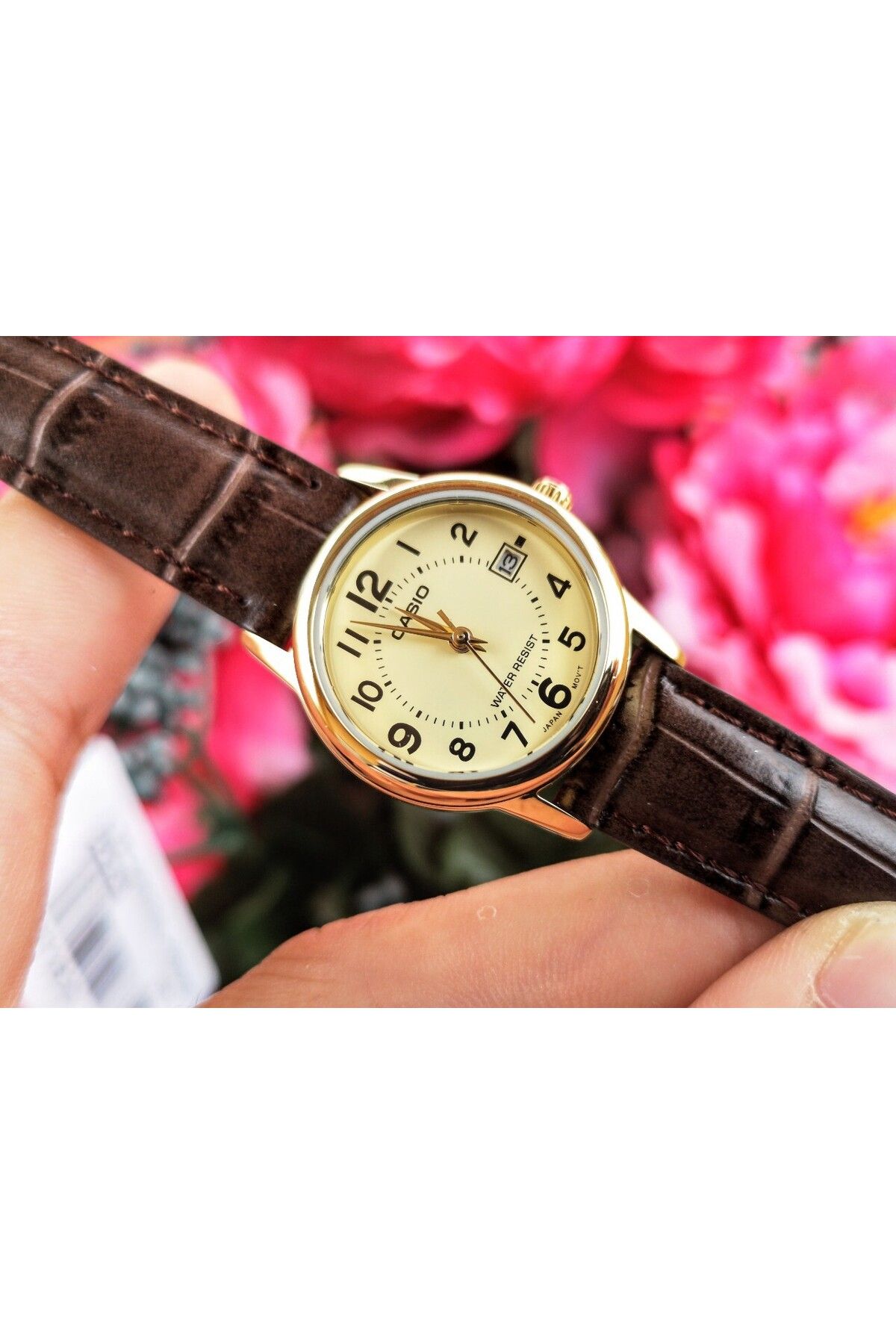 Casio-Ceas Dama, Casio, Collection LTP-V0 LTP-V002GL-9B 4