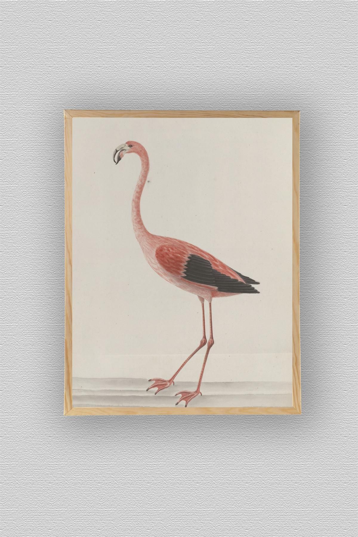WoodyArts Çizim Flamingo - Ahşap Desenli Çerçeve