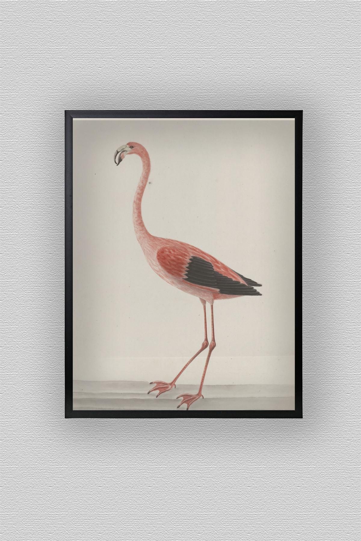 WoodyArts Çizim Flamingo - Siyah Çerçeve