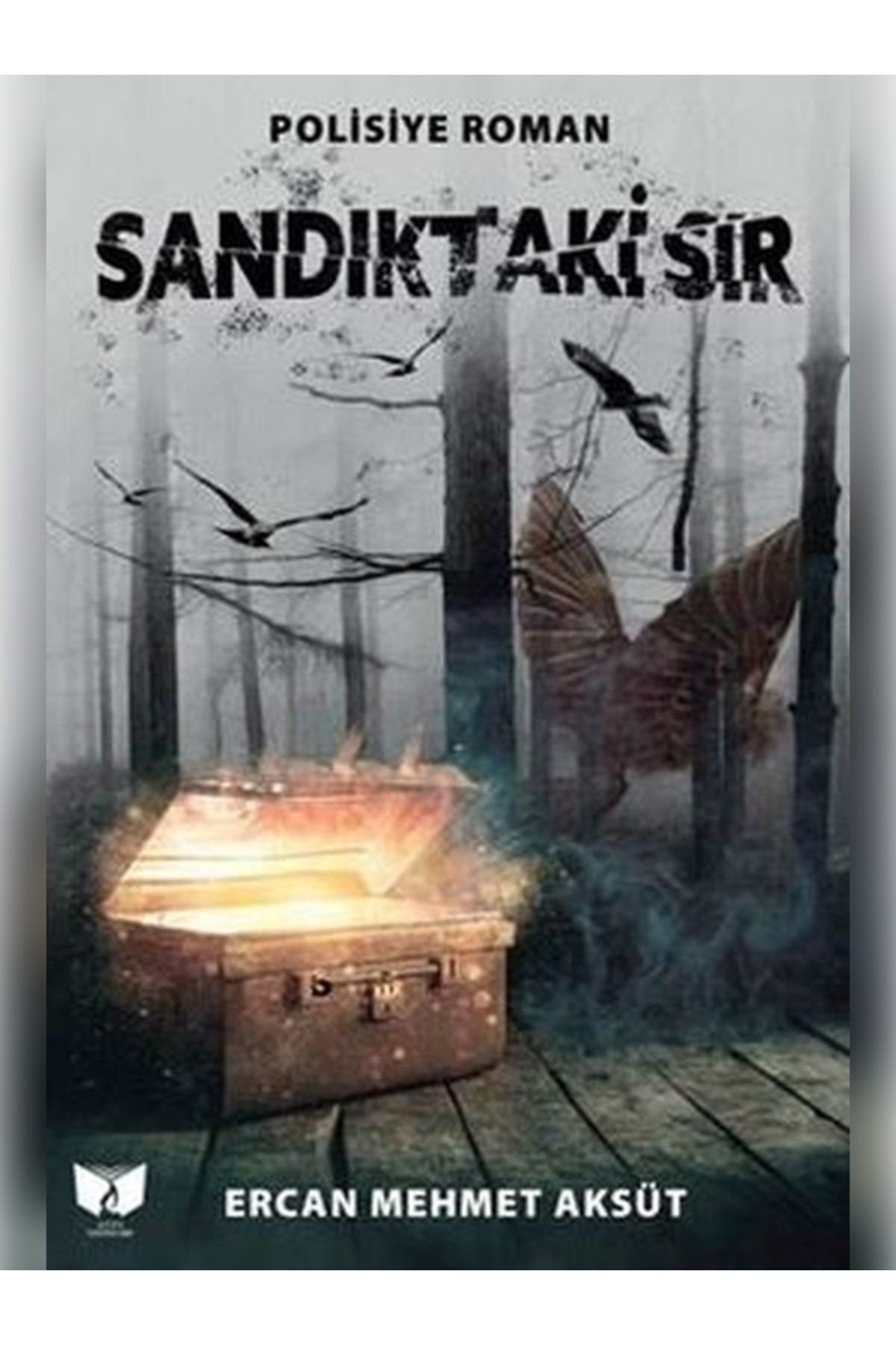 Ateş Yayınları Sandıkdaki sır