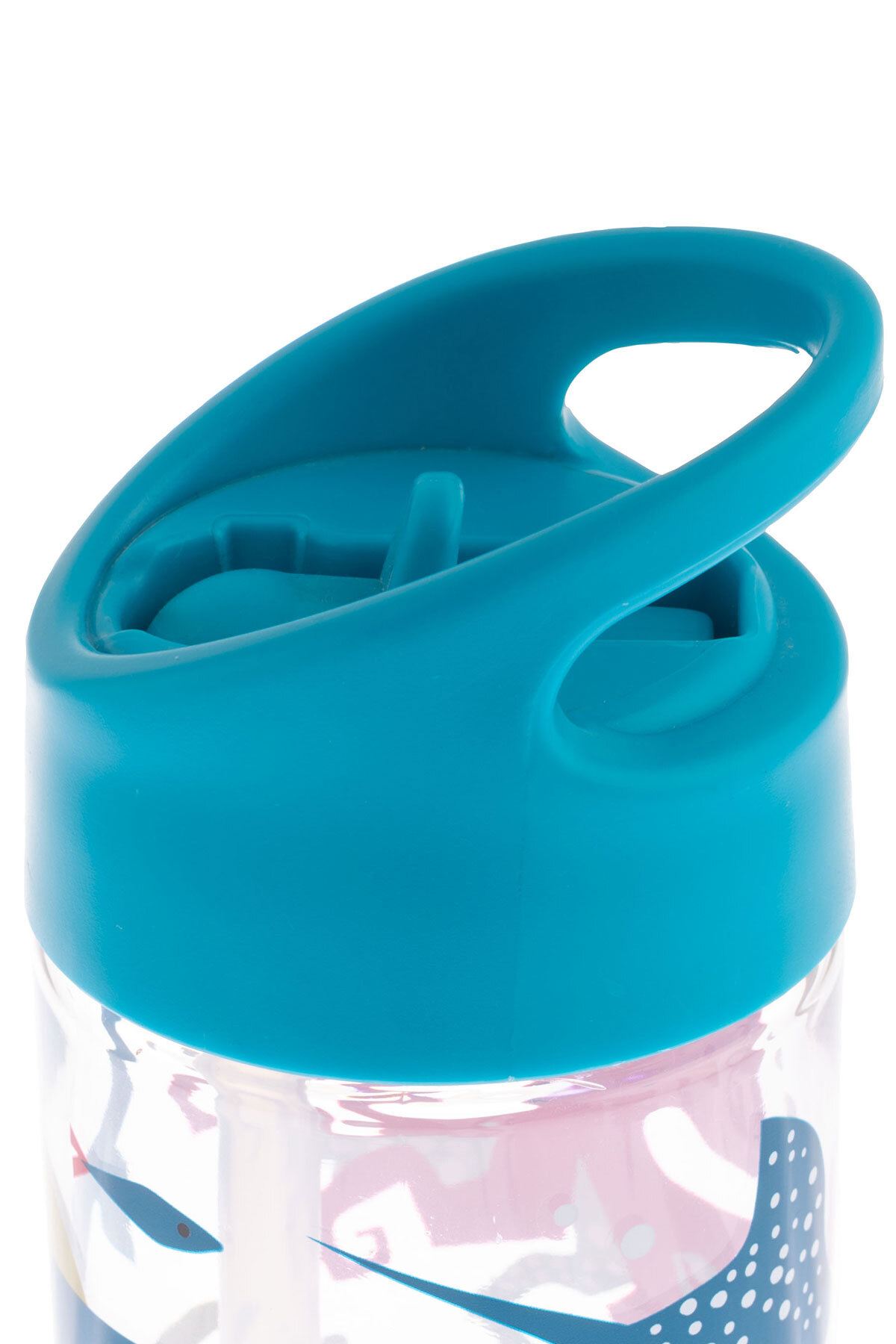 Stephen Joseph Pipetli Suluk Köpek Balığı fotoğrafı 3 (önizleme)