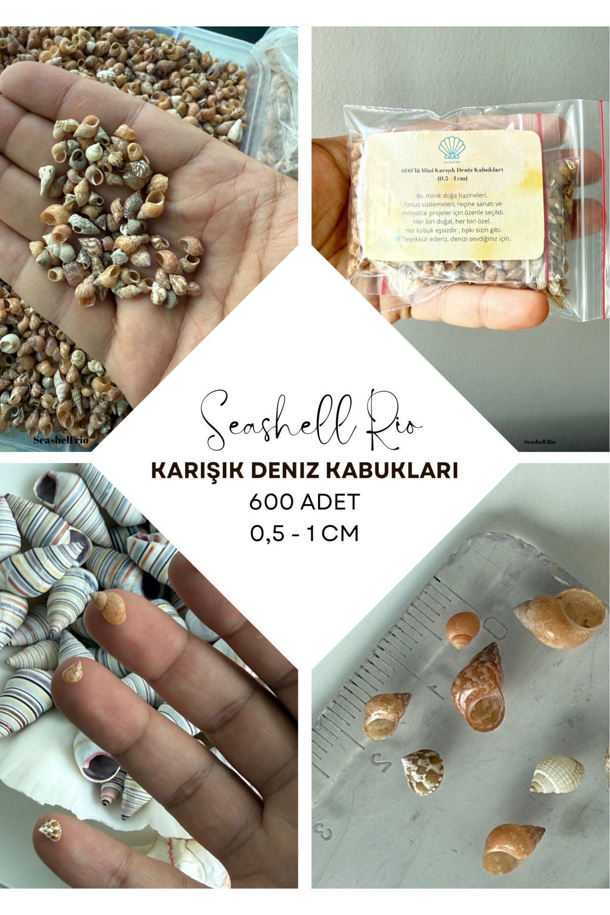 Seashell Rio 600 Adet Doğal Minik Deniz Kabuğu (0,5 - 1 cm) | Akvaryum - Süsleme - Hobi - El Sanatları