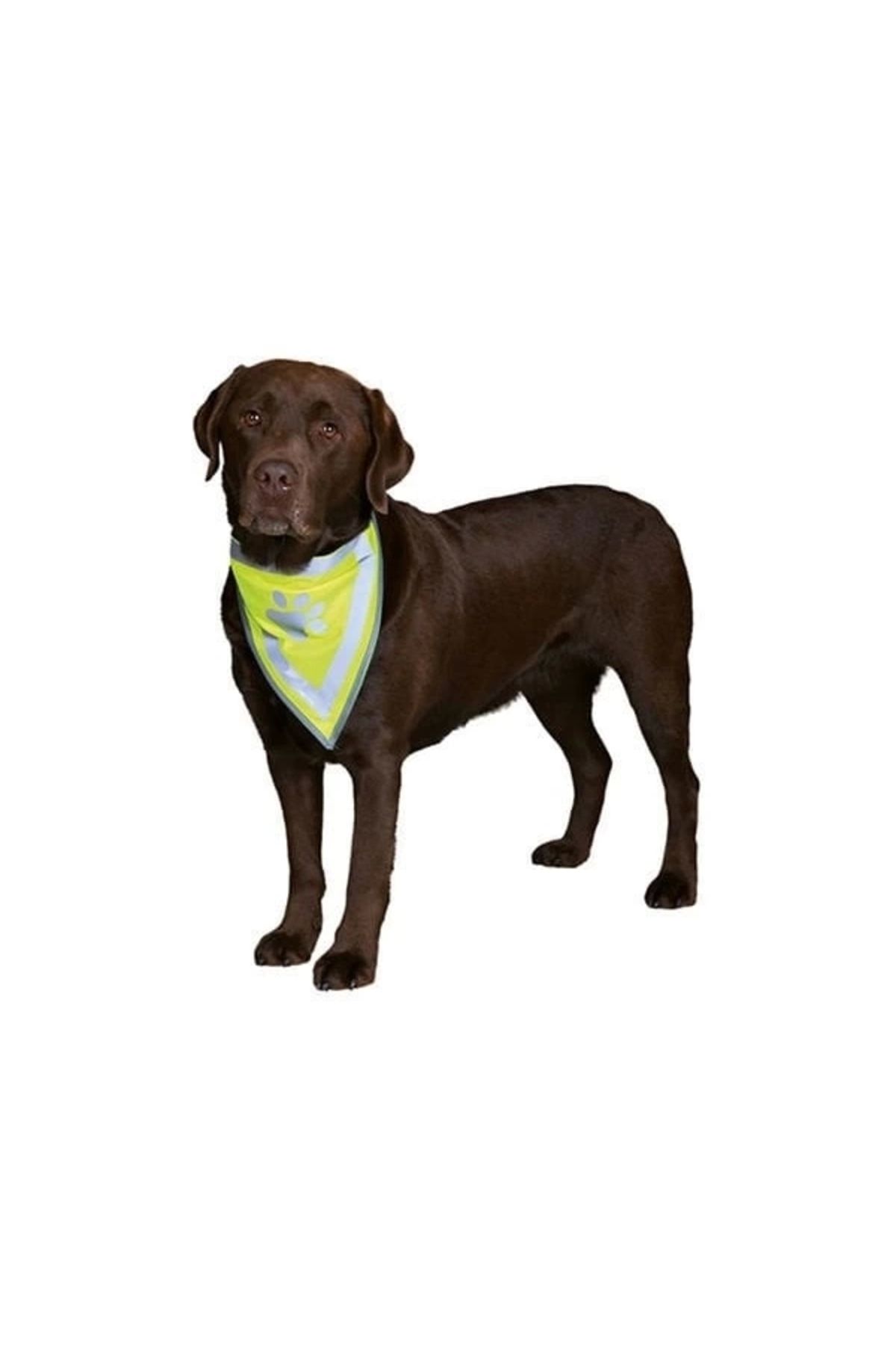 YNT İthalat Trixie Köpek Bandanalı Tasma Xlarge 42-60 Cm