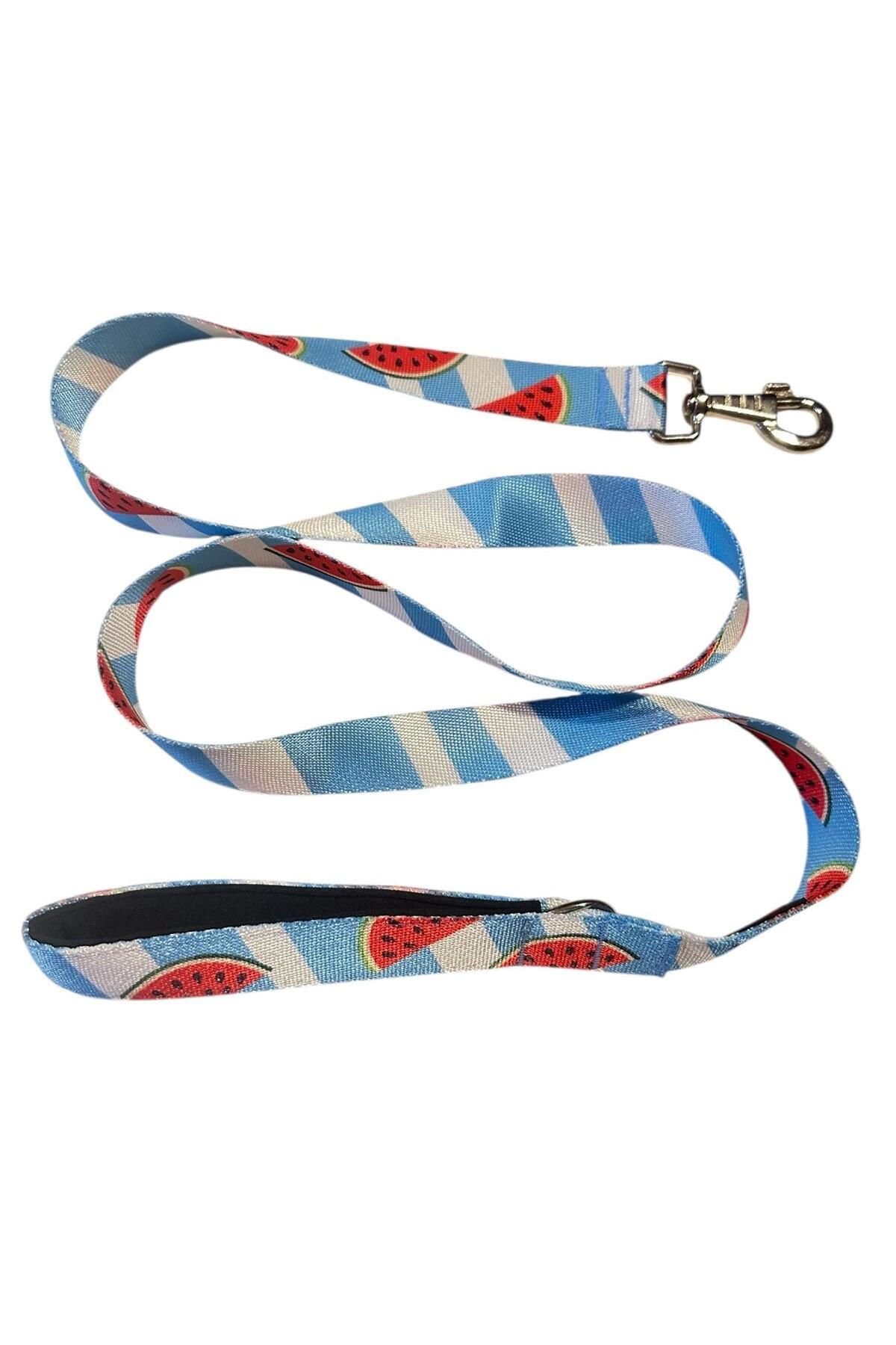 collars and paws C&P Watermelon Köpek Gezdirme Kayışı 120 cm x 2,5 cm