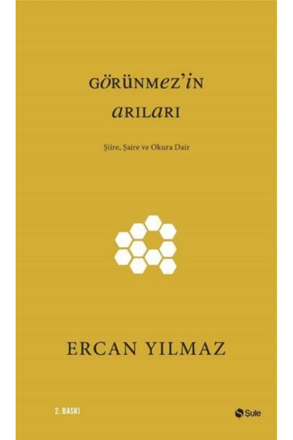 Şule Yayınları Görünmezin Arıları