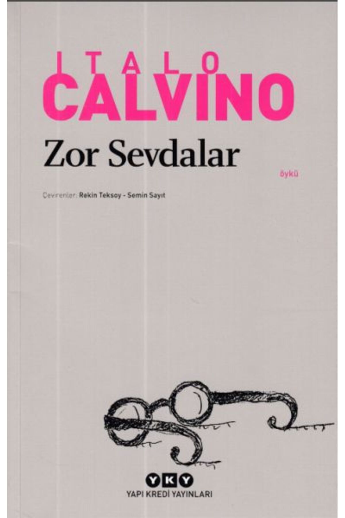 Destek Yayınları Zor Sevdalar - Modern Klasikler