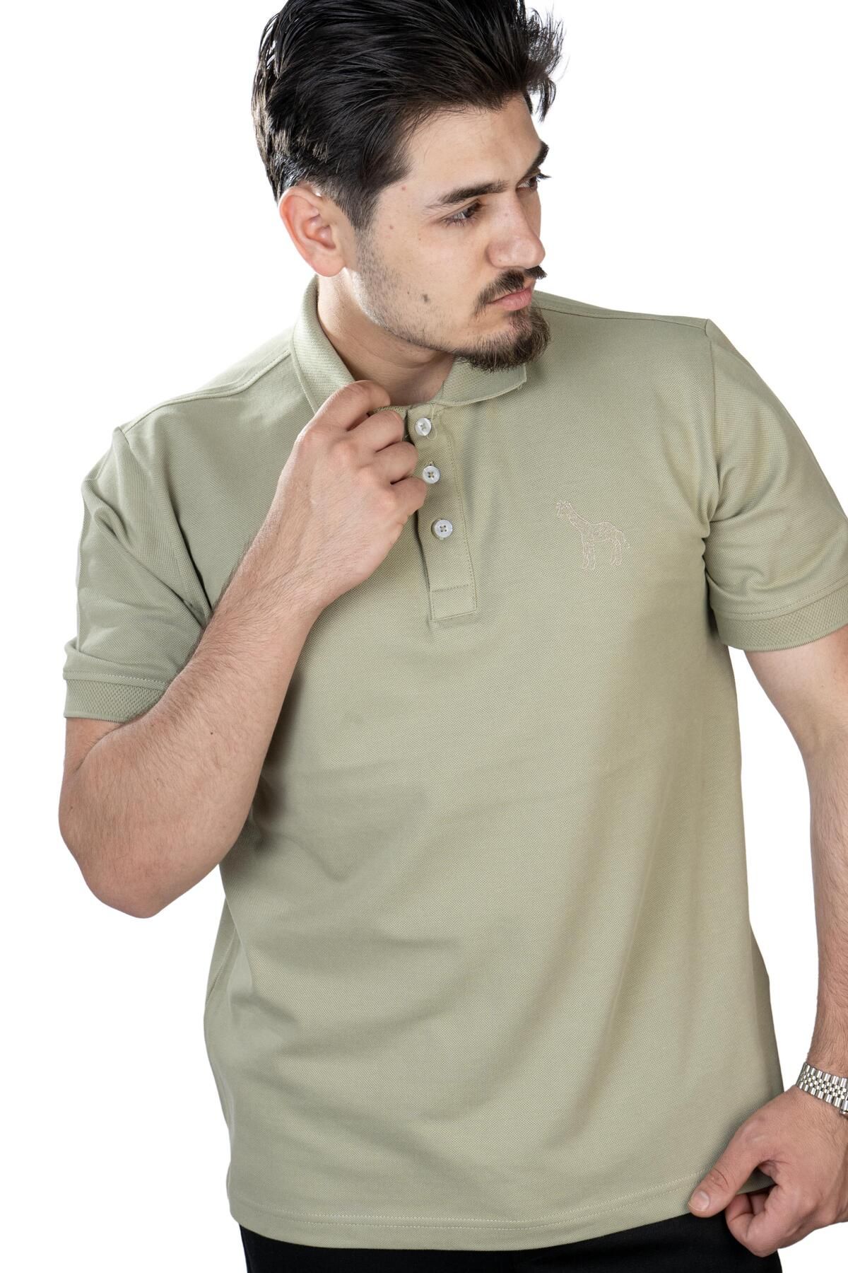 MARİA POLO YAKA OLİVE