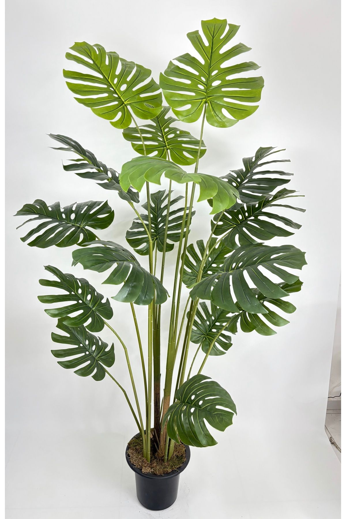 VEAL STORE 200 CM 17 YAPRAKLI YAPAY MONSTERA AĞACI