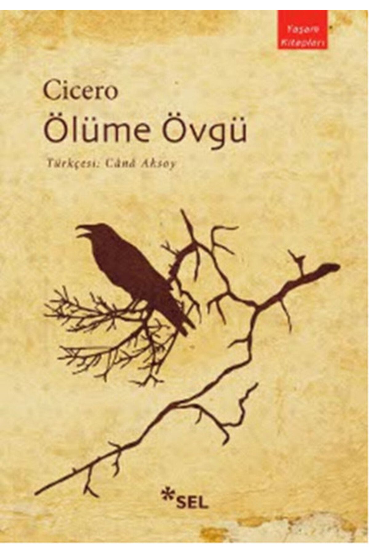 Sel Yayınları Ölüme Övgü