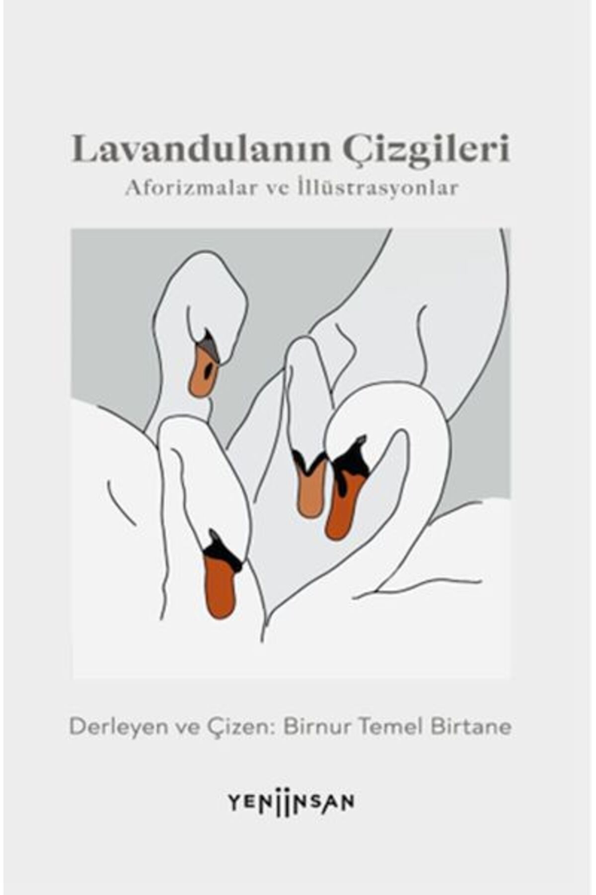 Yeni İnsan Yayınevi Lavandulanın Çizgileri