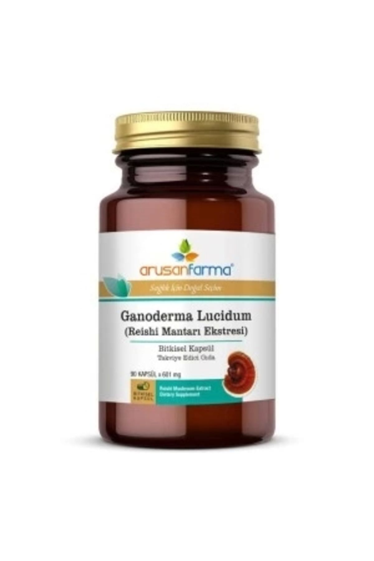 STOREMAX Ganoderma Lucidum Kapsül