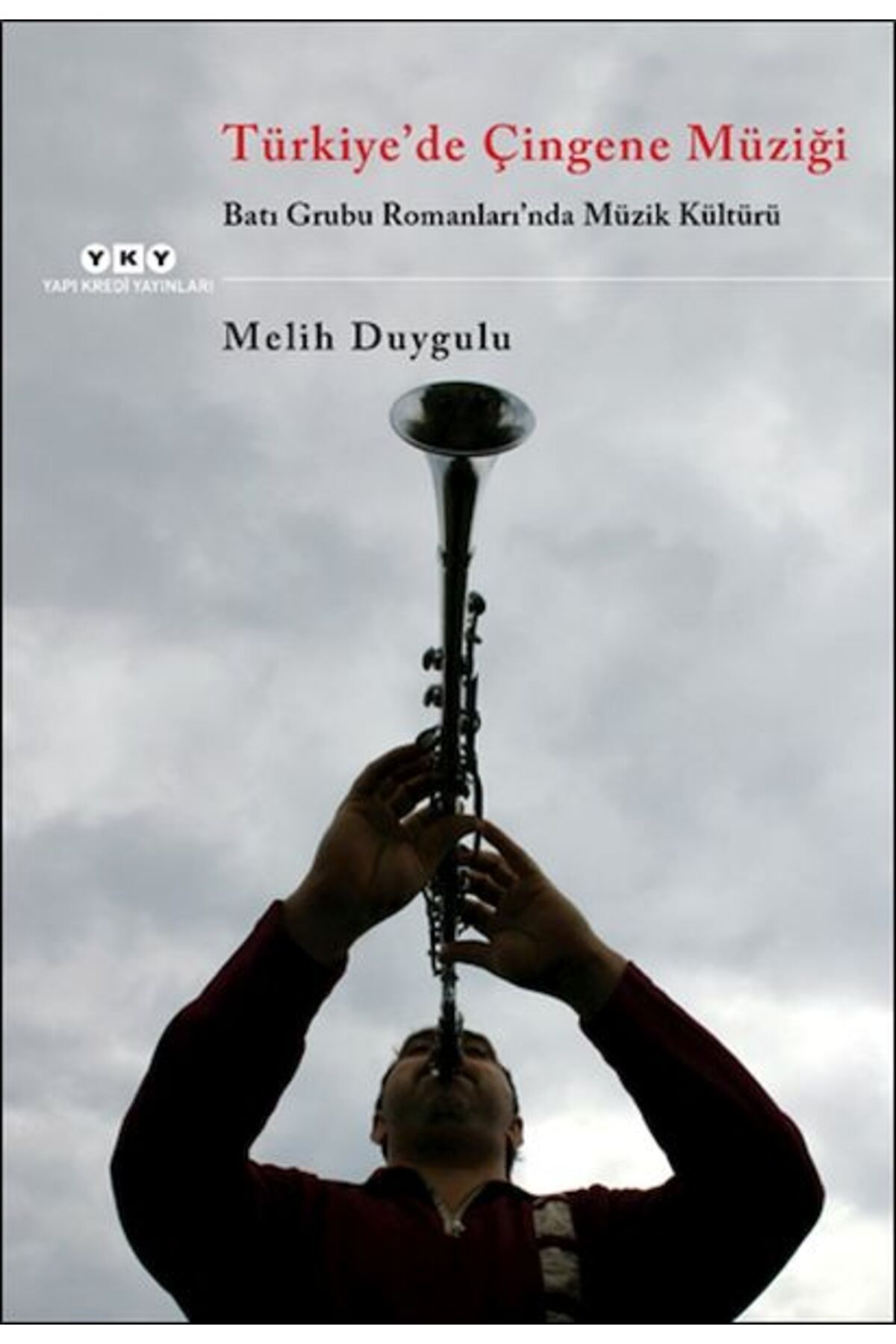 Destek Yayınları Türkiye'de Çingene Müziği /Batı Grubu Romanları'nda Müzik Kültürü