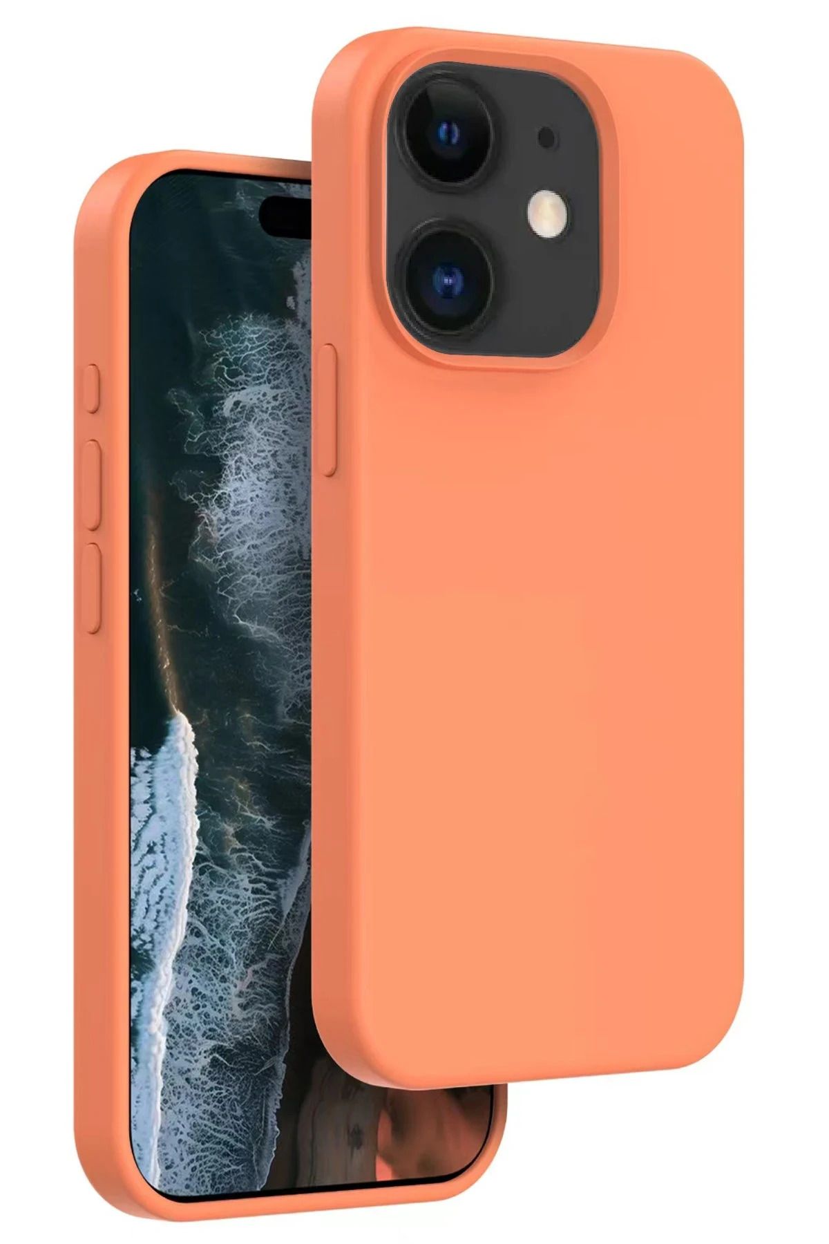 Zentico Apple iPhone 11 Home Magsafe Kılıf