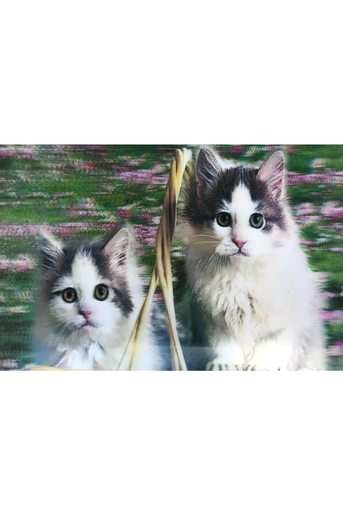YNT İthalat 3 Boyutlu Resim Sevimli Kediler İkili Kedi Resmi Tablosu 40x60 Cm