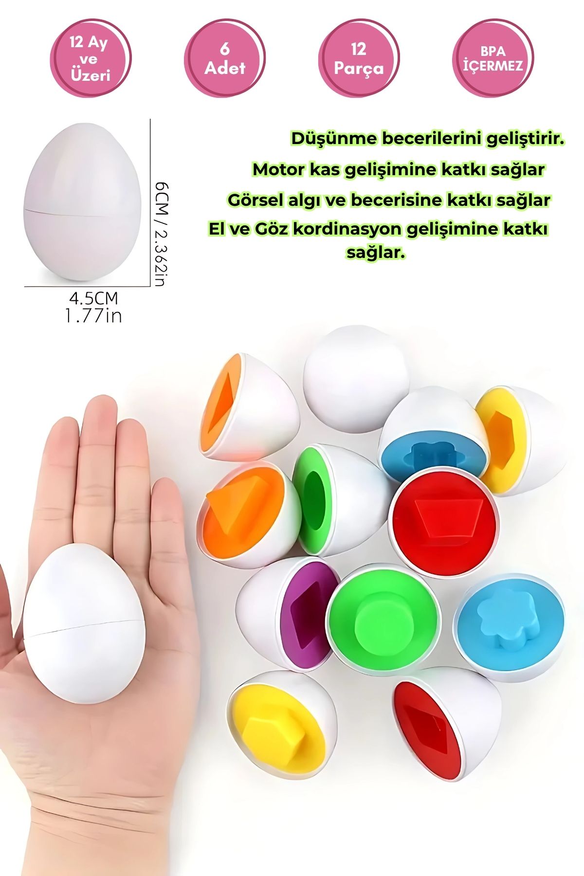 Mizizum 6'lı Geometrik Yumurta Eşleştirme