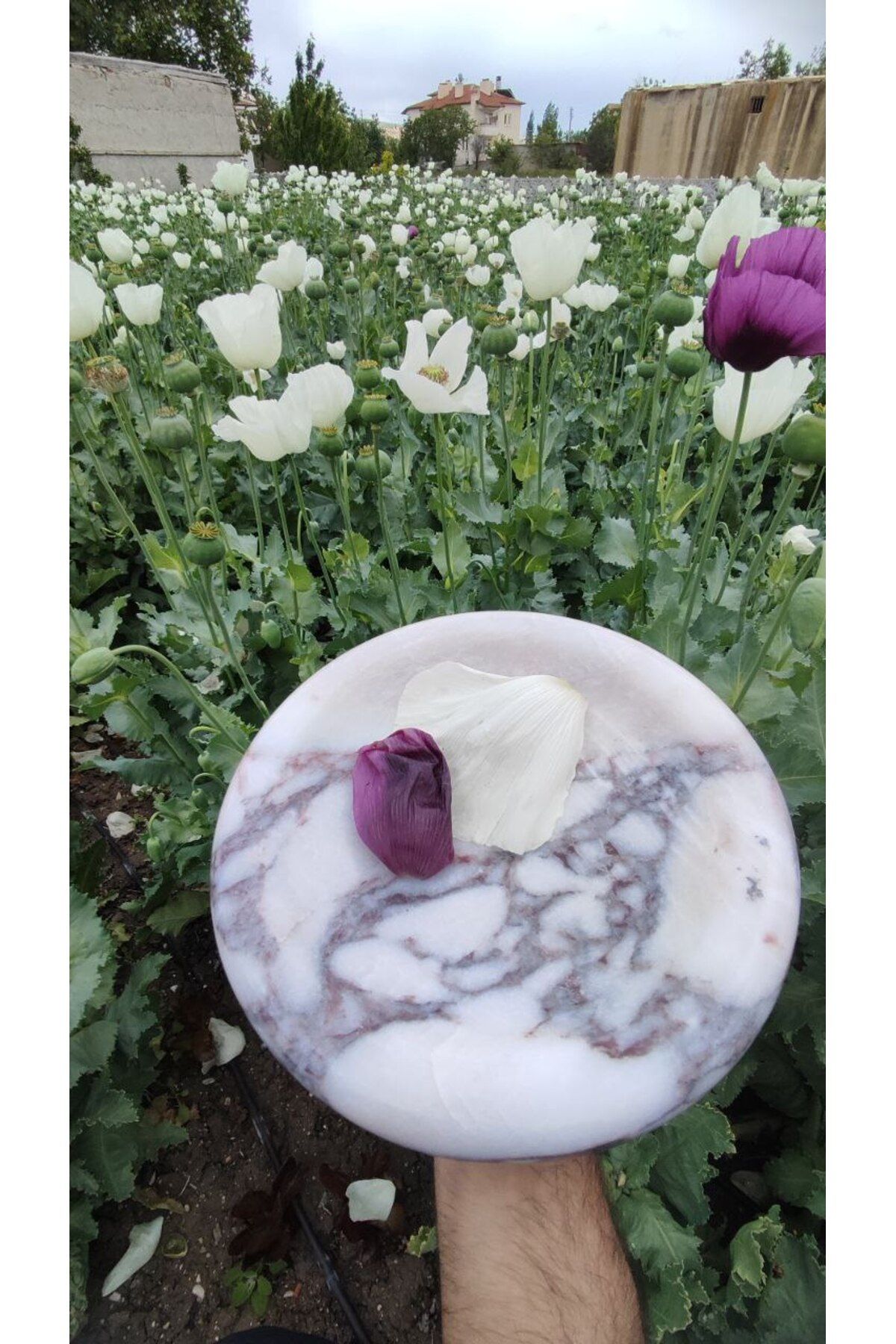 adomarmarblehandmadeandluxury Yanlızca 1 adet - Calacatta Viola Mermer Kase 27x27x5 El Yapımı Dekoratif Servis ve Organizer Kase