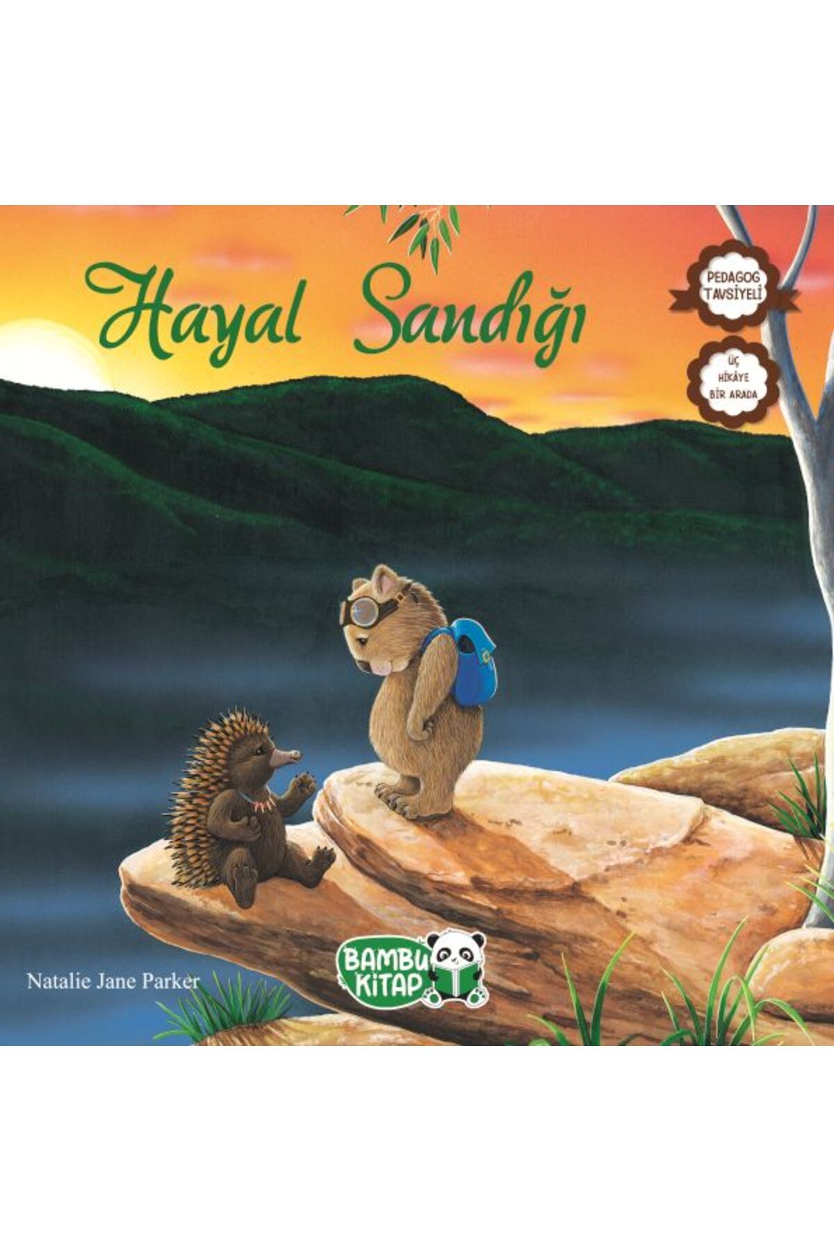 Bambuk Yayınevi Hayal Sandığı