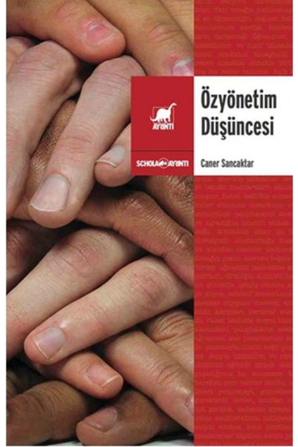 Ayrıntı Yayınları Öz Yönetim Düşüncesi