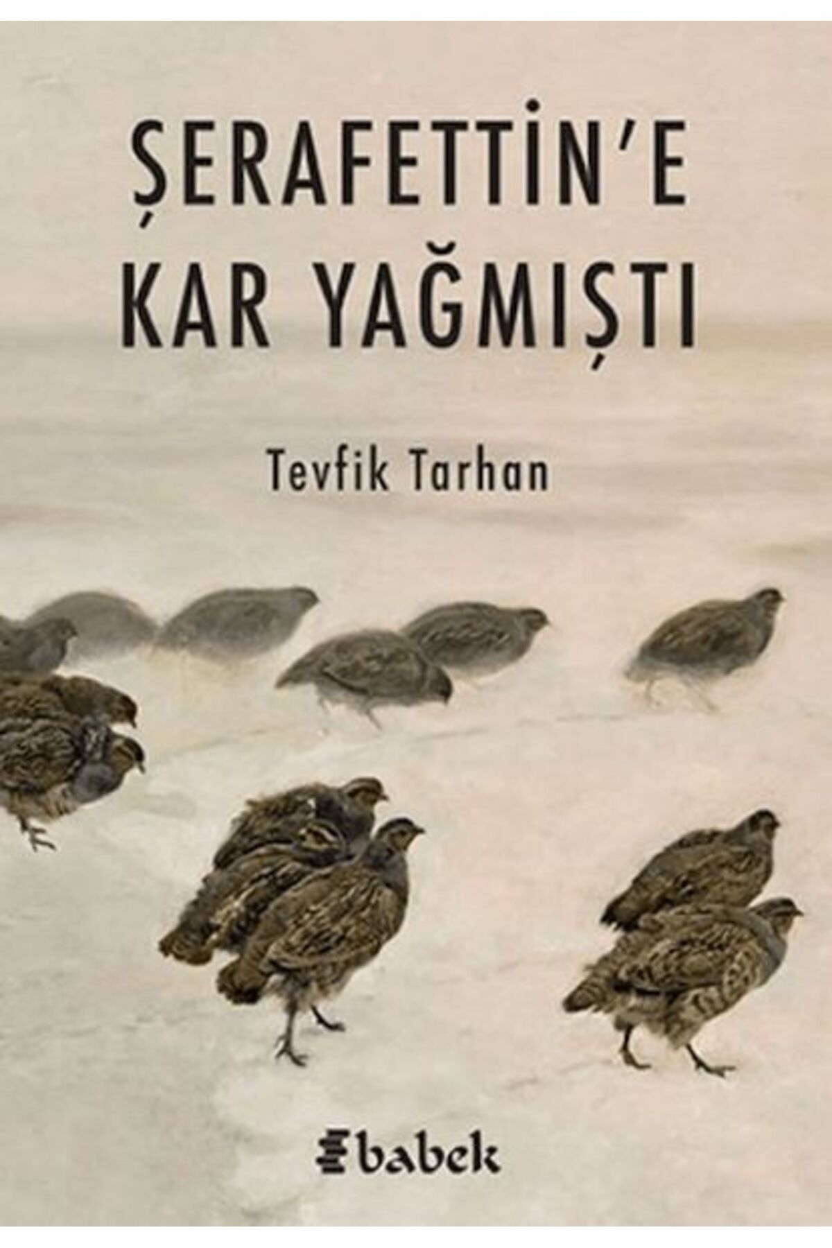 Babek Yayınları Şerafettin'e Kar Yağmıştı
