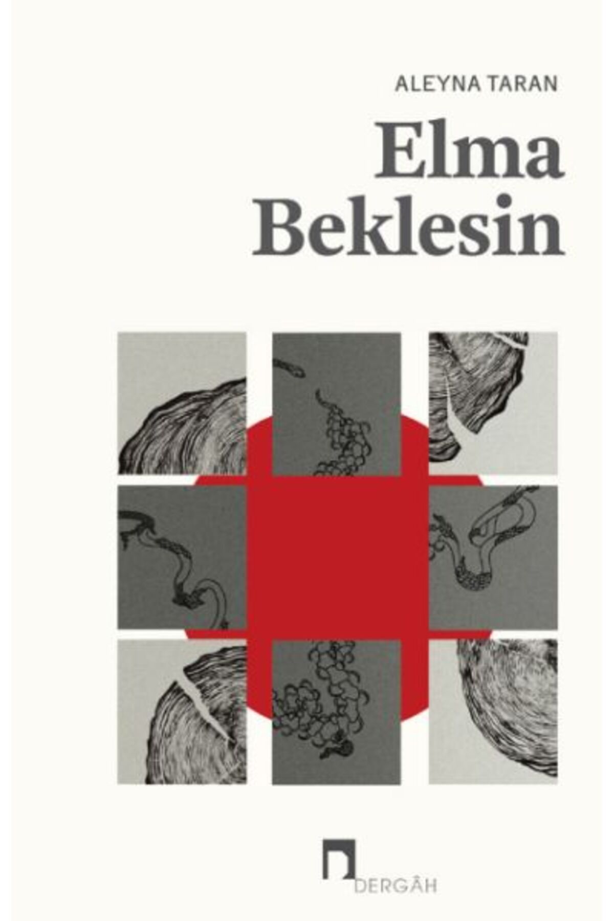 Dergah Yayınları Elma Beklesin
