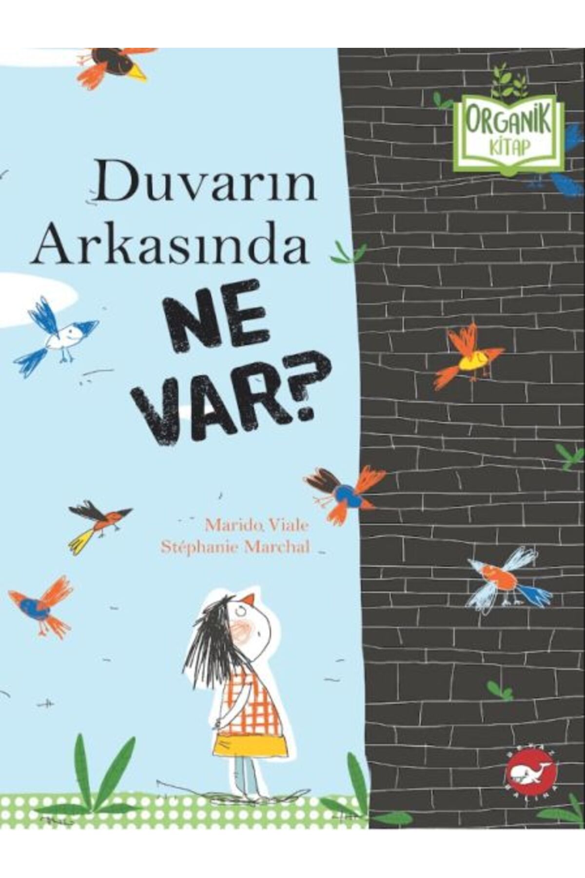 Beyaz Balina Yayınları Duvarın Arkasında Ne Var? - Organik Kitaplar