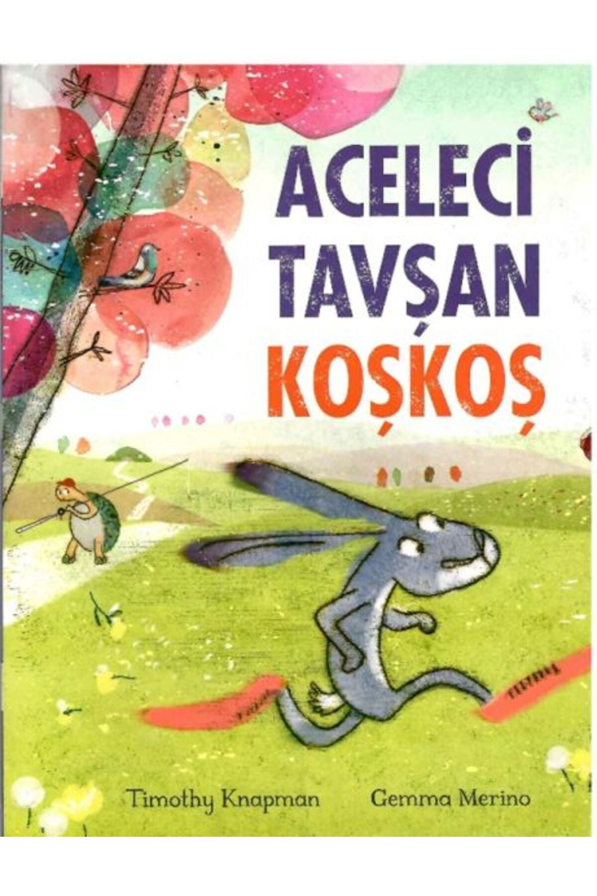 BETA byou Aceleci Tavşan KoşKoş