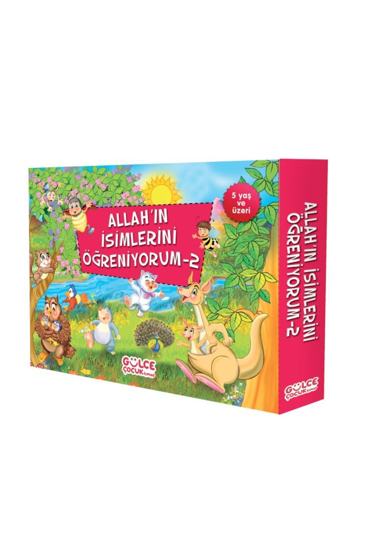 Destek Yayınları Allahın İsimlerini Öğreniyorum - 2 (10 Kitap Takım)