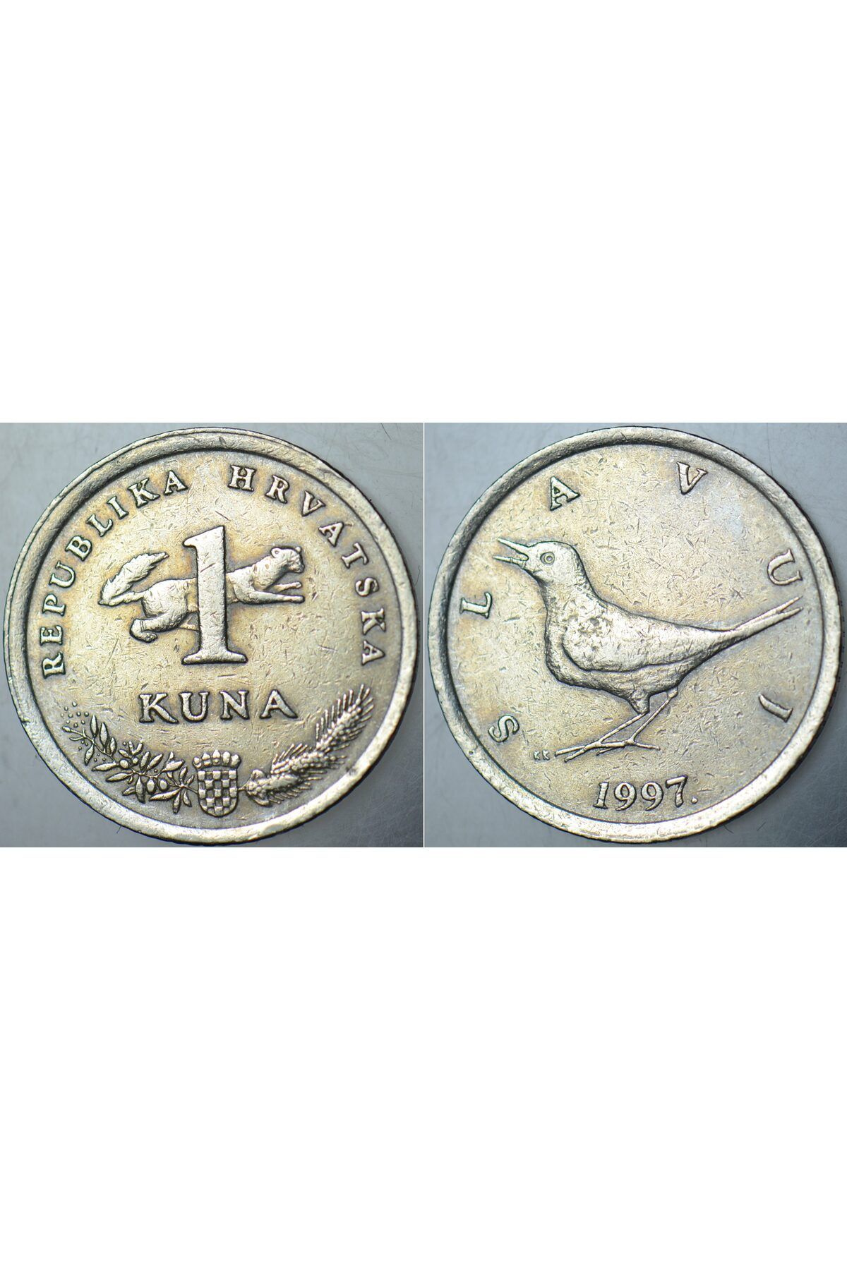 Banknoting HIRVATİSTAN 1 KUNA 1997 ESKİ TARİHLİ. SANSAR VE BÜLBÜL TEMALI.