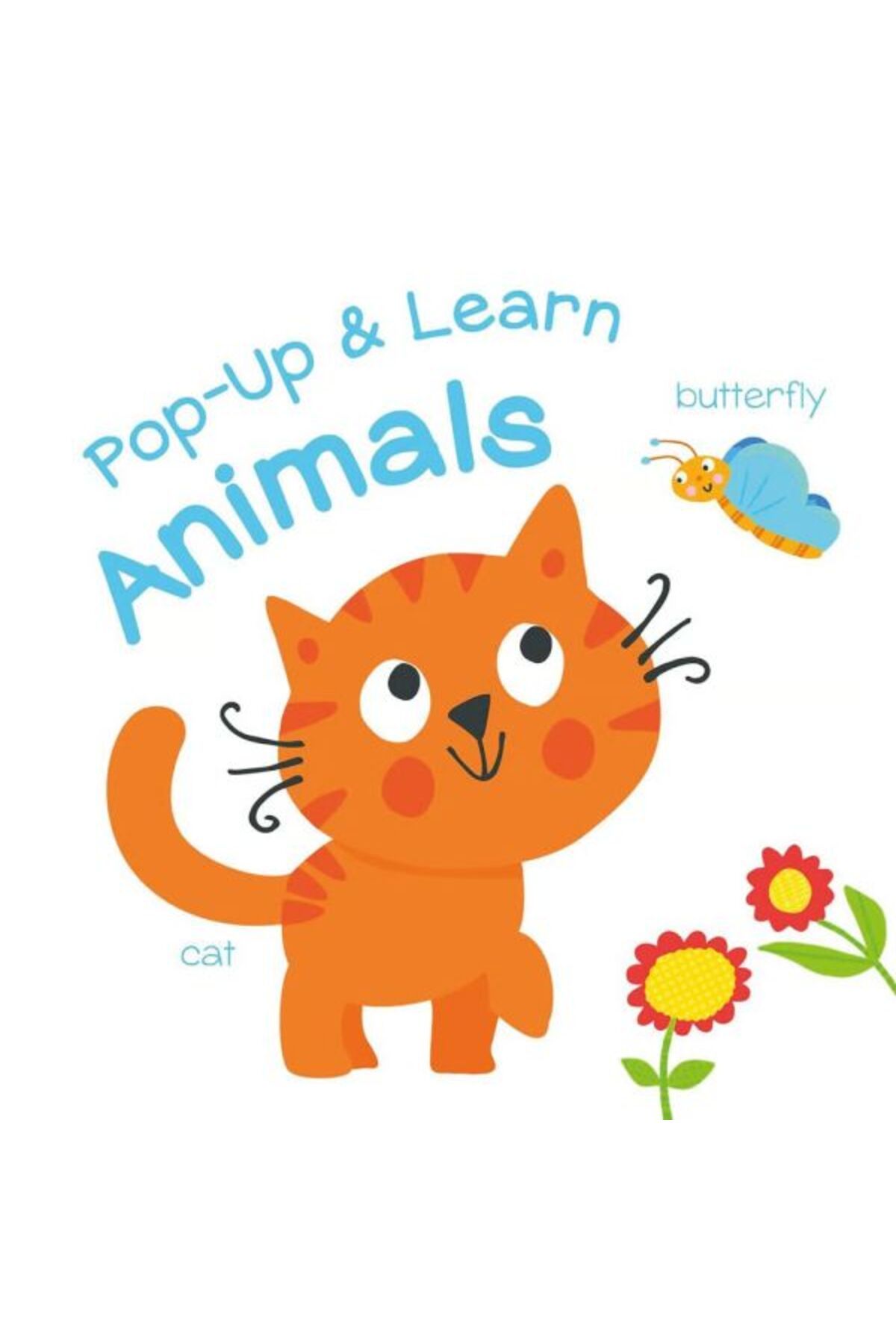 Yoyo Books Pop Up & Learn: Animals