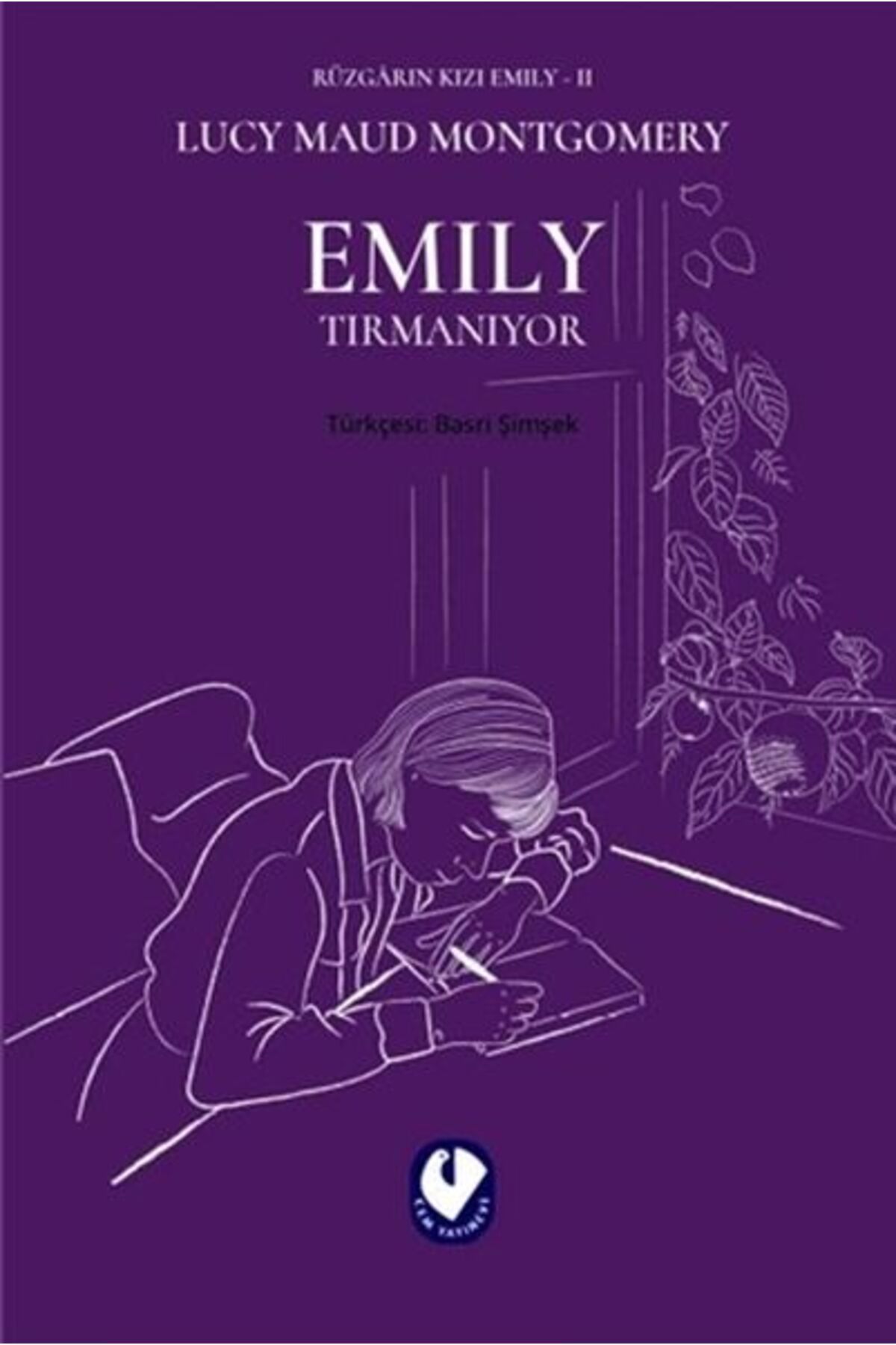 Cem Yayınevi Emily Tırmanıyor - Rüzgarın Kızı Emily 2