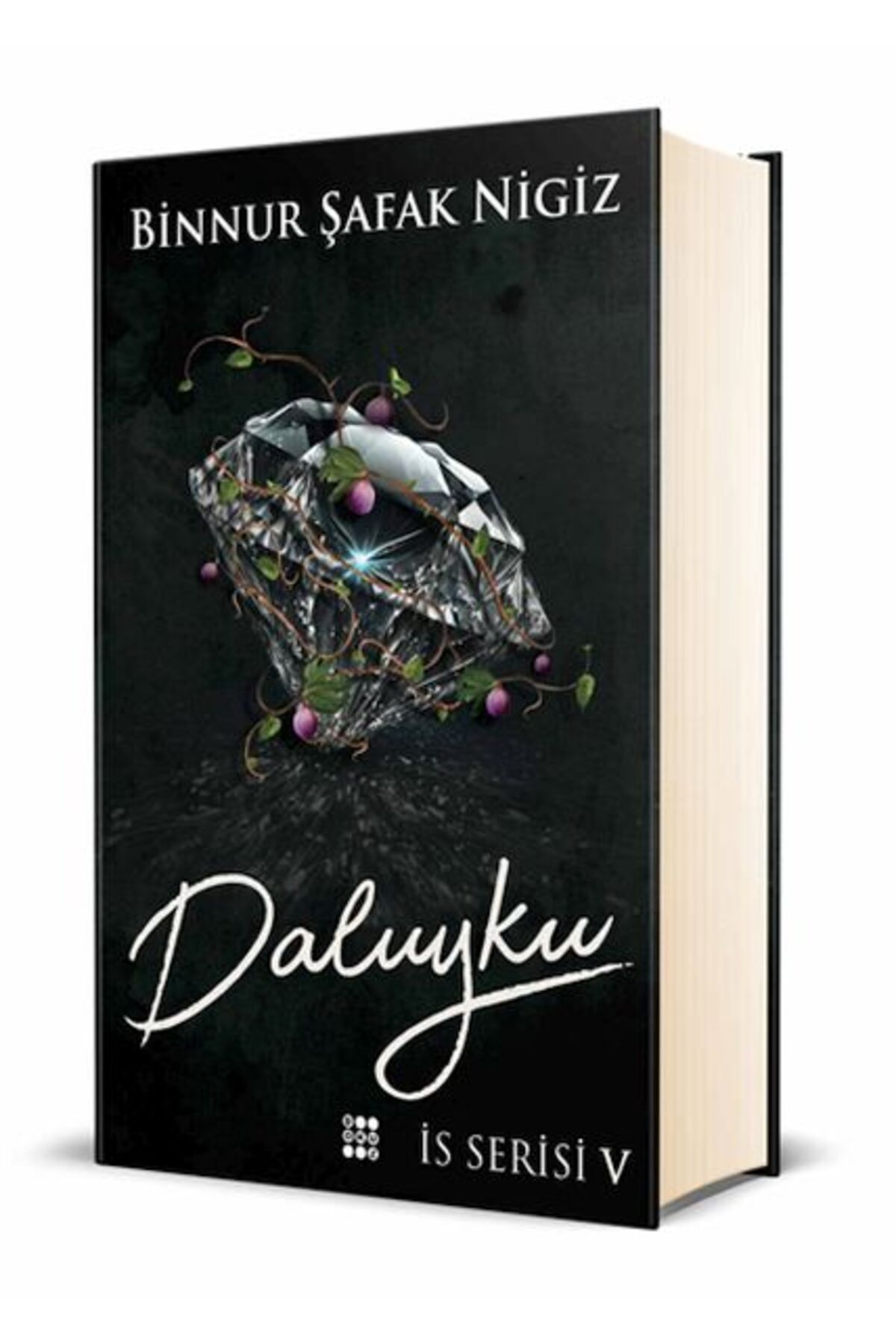 Dokuz Yayınları Daluyku - İs Serisi 5 (Ciltli)