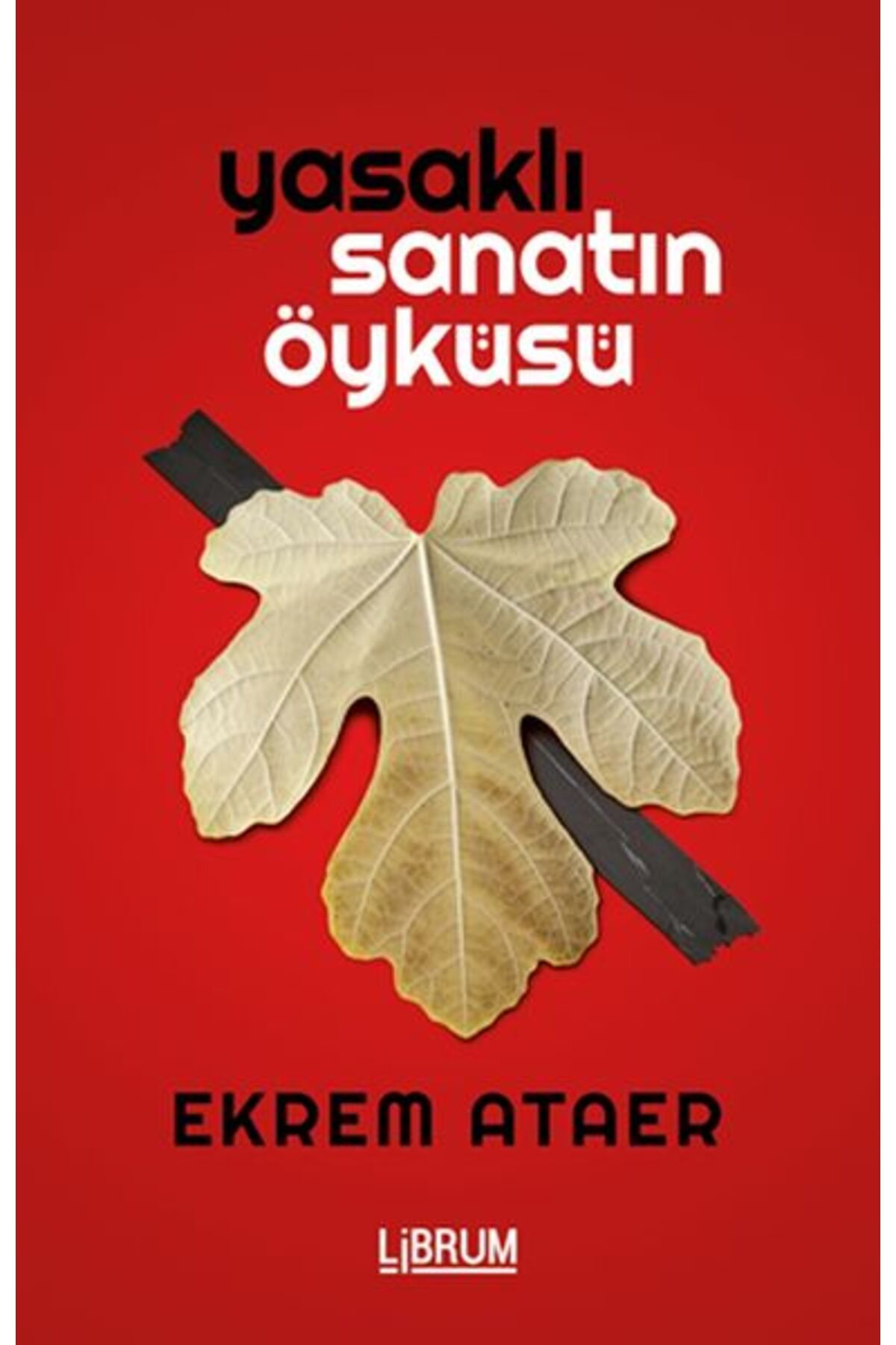 Librum Kitap Yasaklı Sanatın Öyküsü