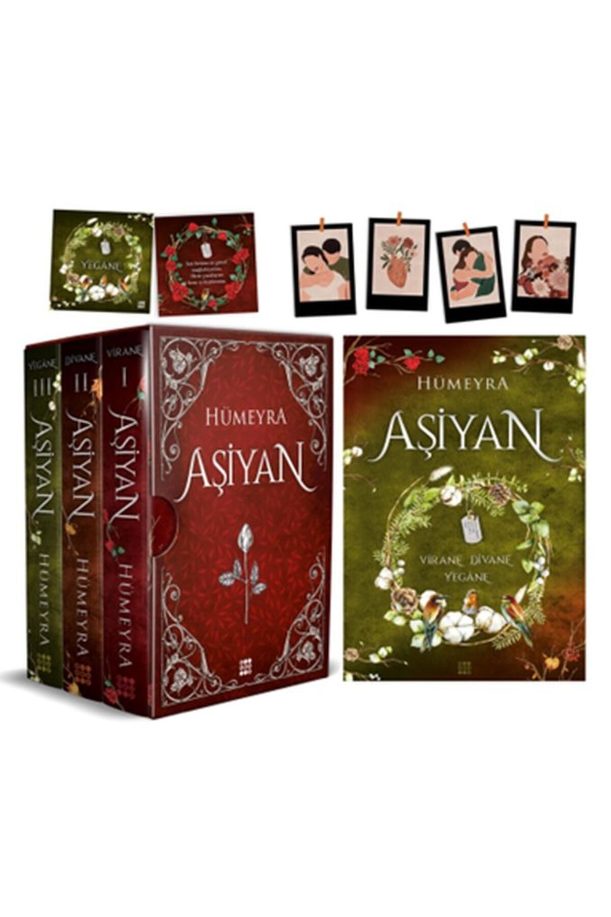 Dokuz Yayınları Aşiyan Serisi (Kutulu 3 Kitap - Ciltli)