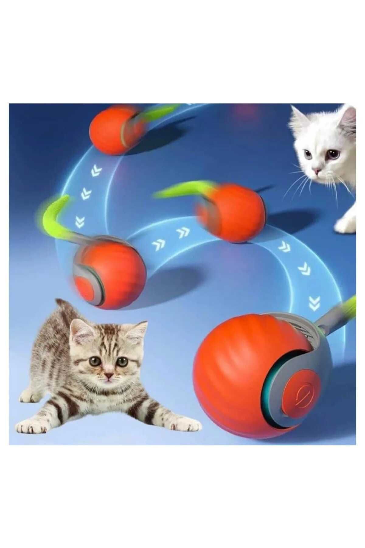 Petzy Hareketli Otomatik Yuvarlanan Tüylü Top Kedi Oyuncağı Şarj Edilebilir İnteraktif Oyuncak