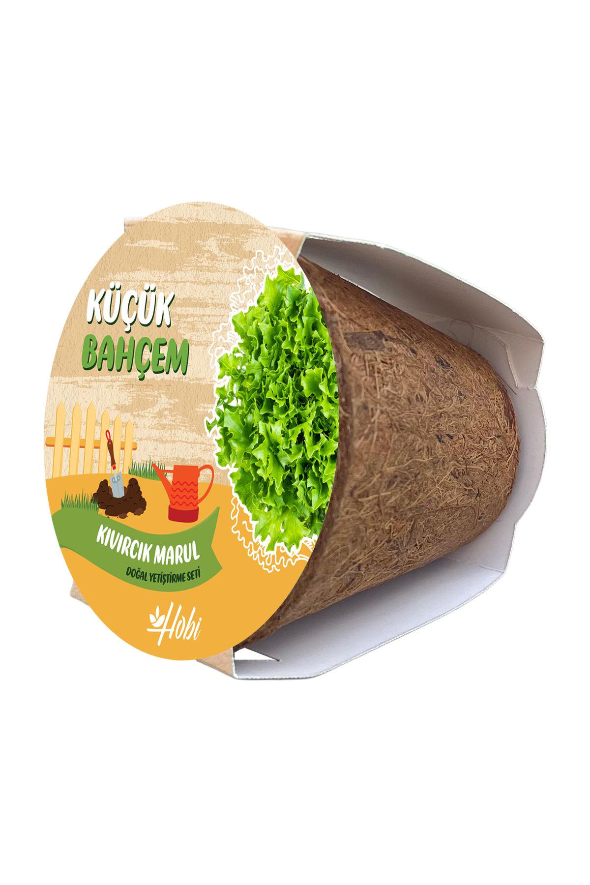 Genta Küçük Bahçem Marul Yetiştirme Seti