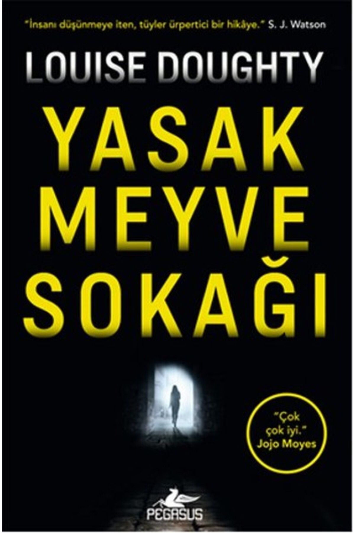 Pegasus Yayınları Yasak Meyve Sokağı