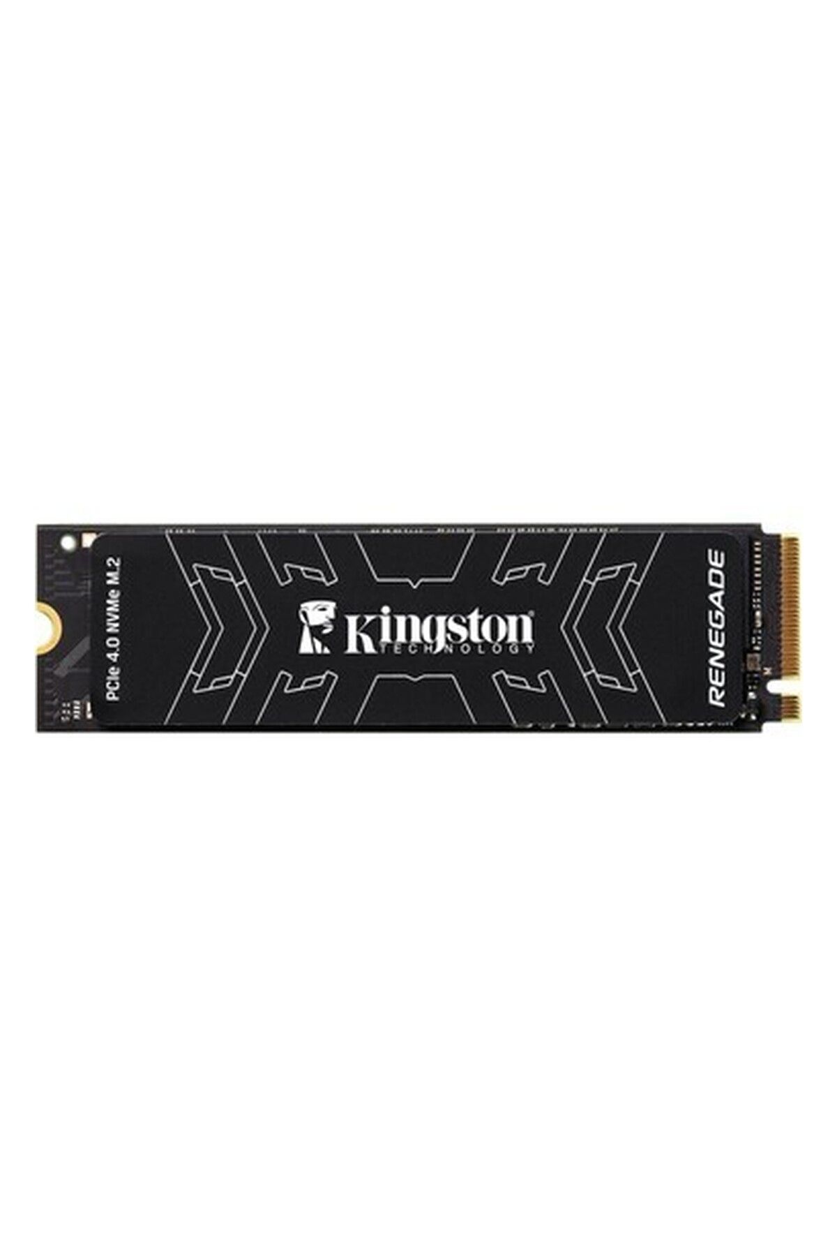 Store 2000G Renegade Pcıe 4.0 Nvme M.2 SSD