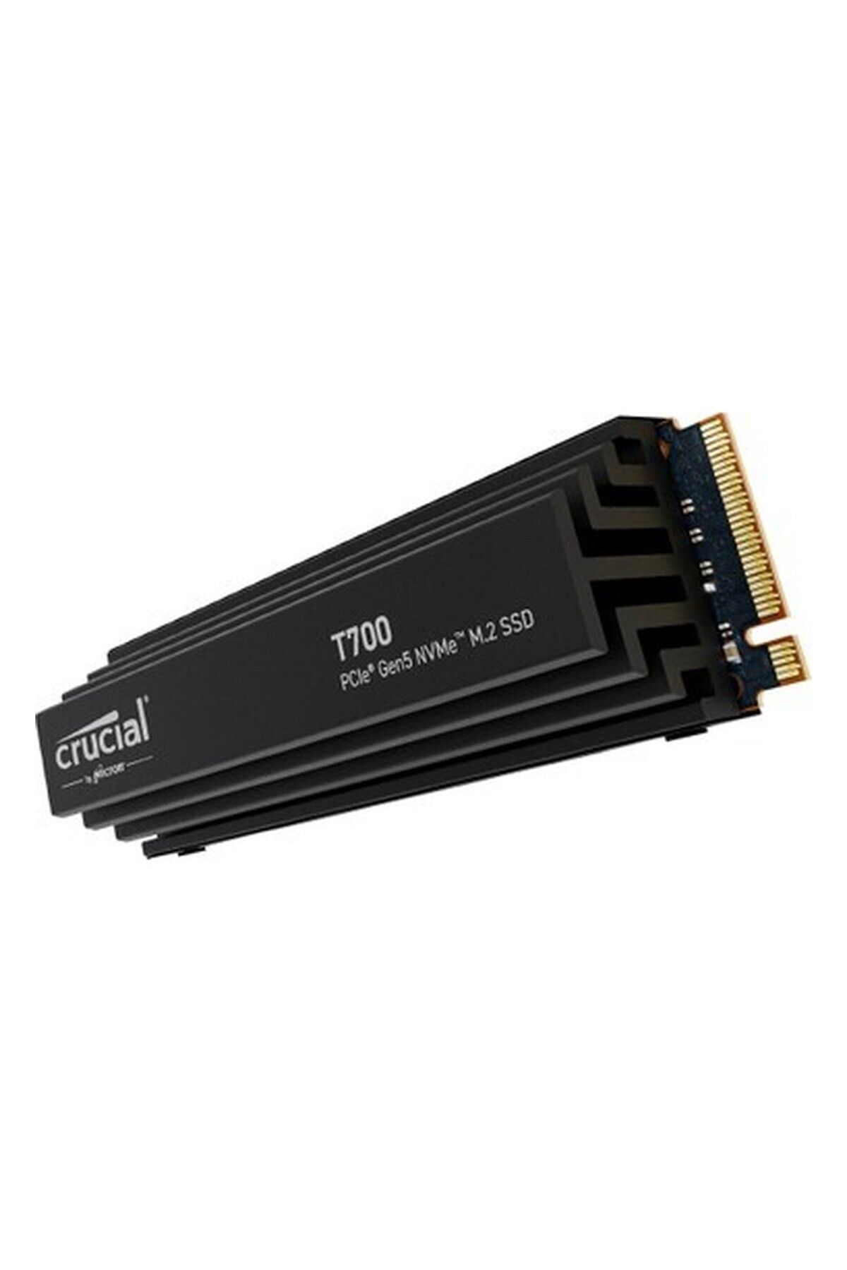 Crucial T700 1TB PCIe Gen5 NVMe M.2 SSD CT1000T700SSD5 SOĞUTUCULU heatsink