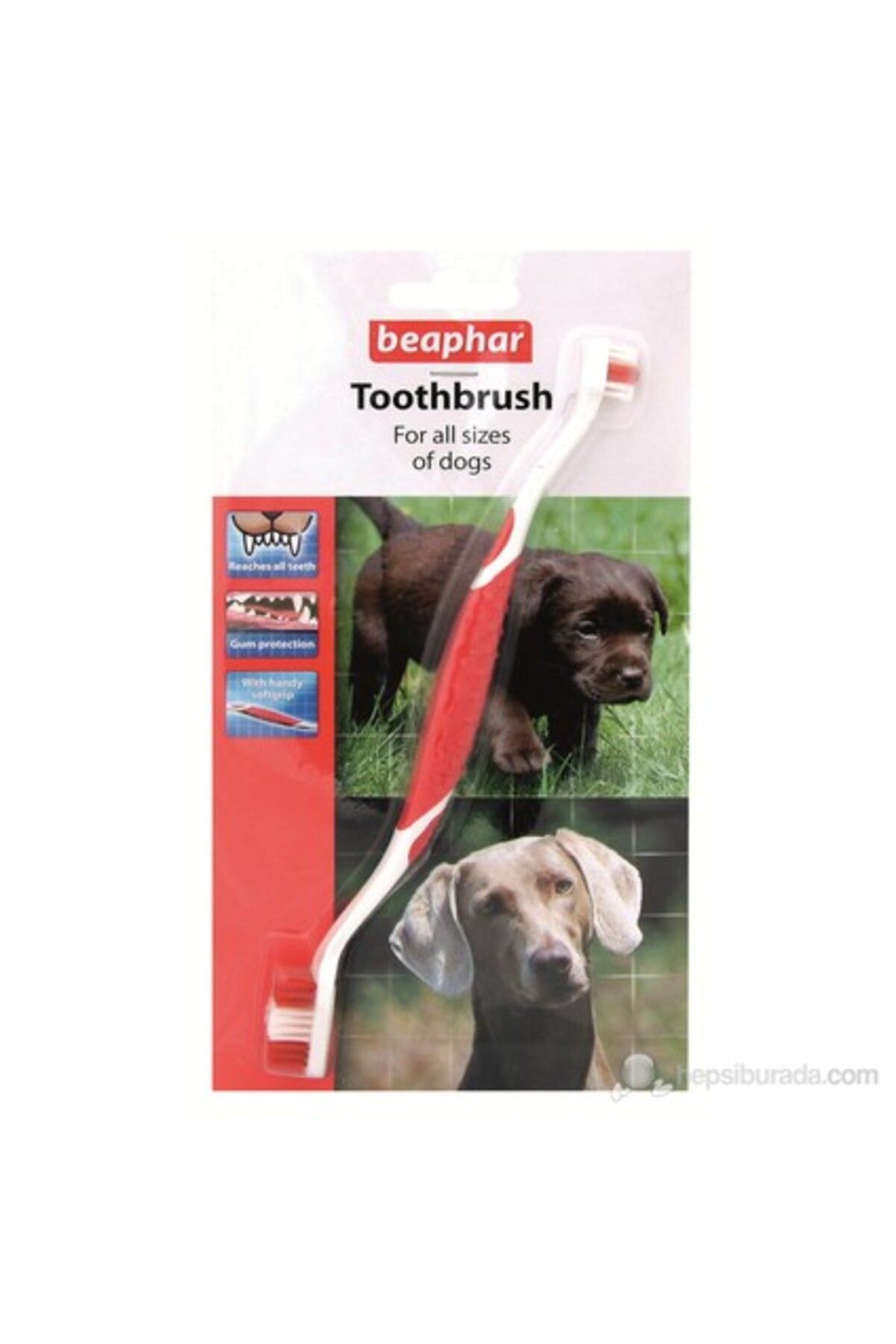 Beaphar Dog A Dent Köpek Diş Fırça Seti